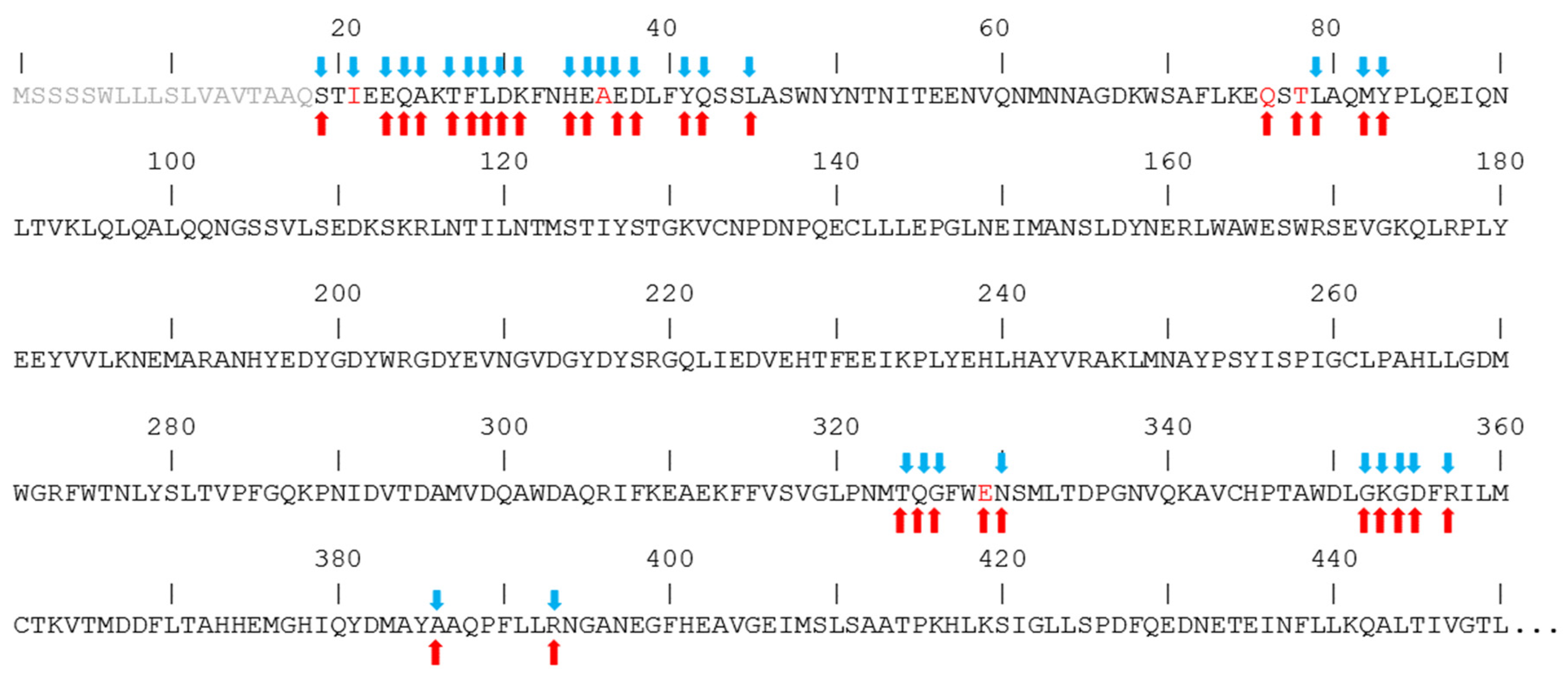 Encyclopedia 02 00007 g004