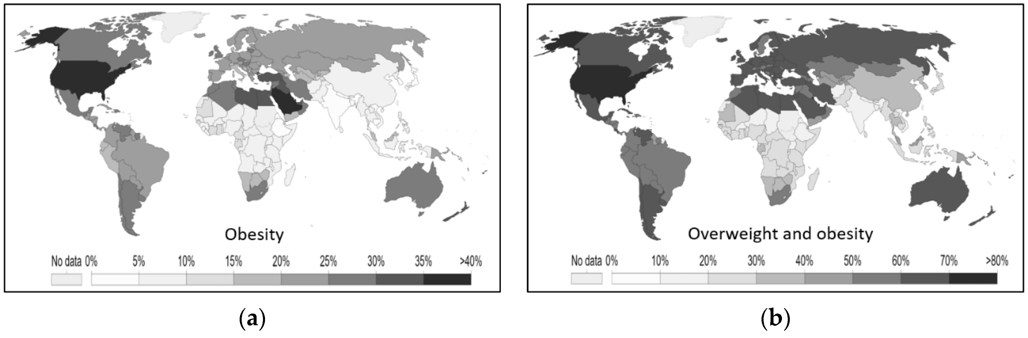 Encyclopedia 02 00008 g011 Encyclopedia 02 00008 g011