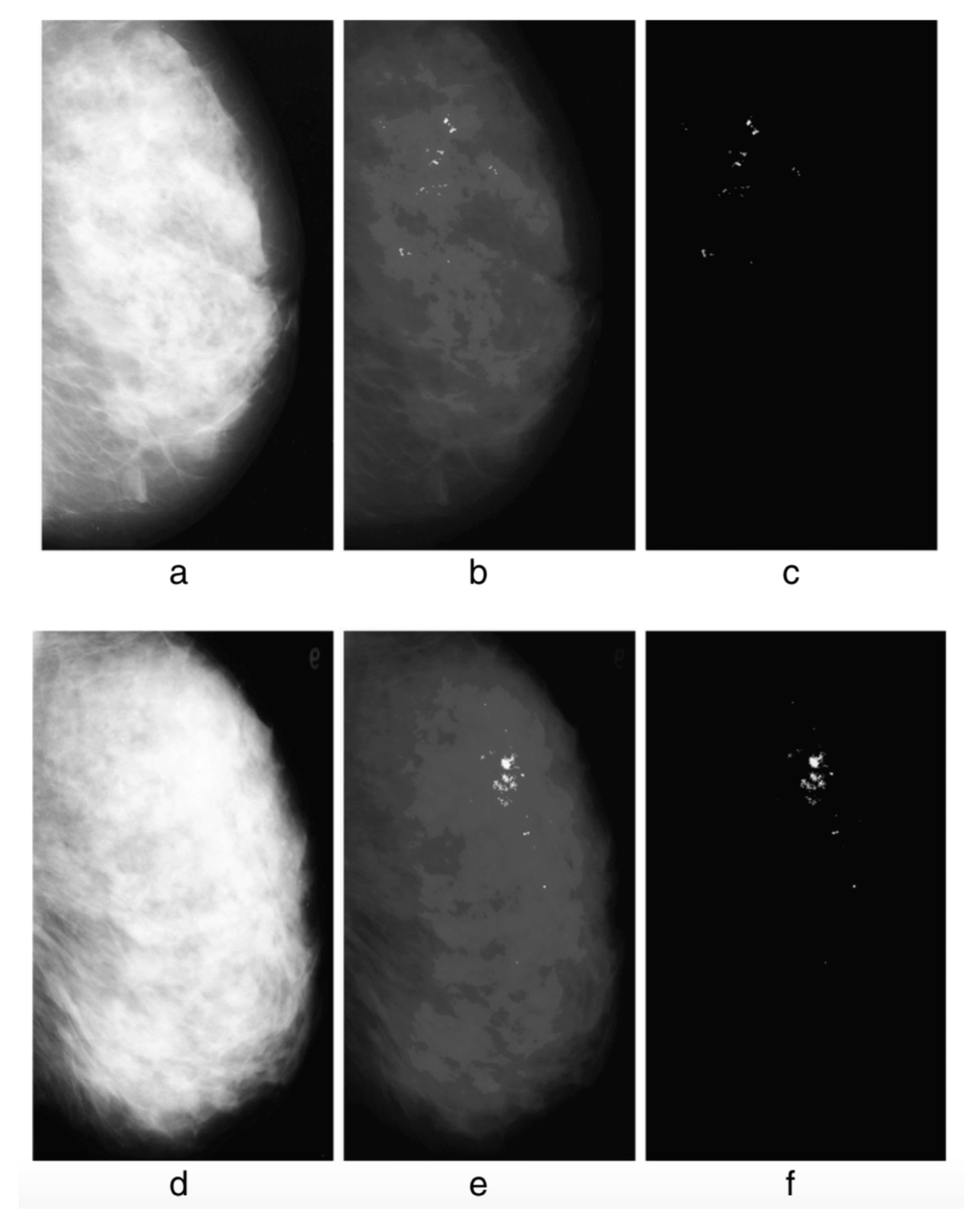 Encyclopedia 02 00018 g026 Encyclopedia 02 00018 g026