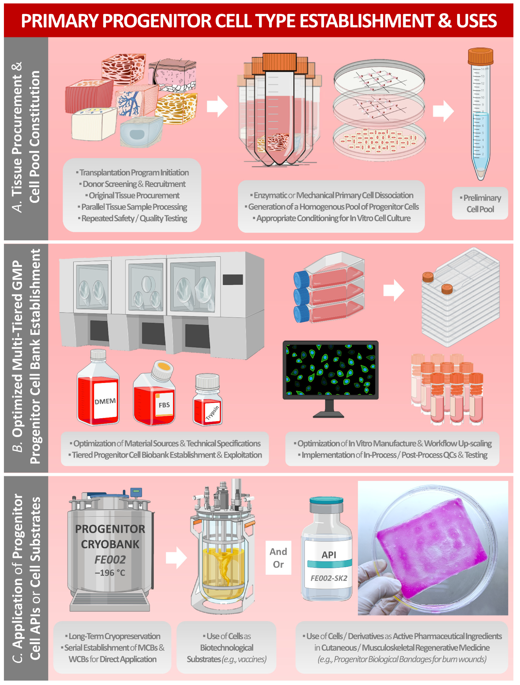Encyclopedia 02 00021 g001