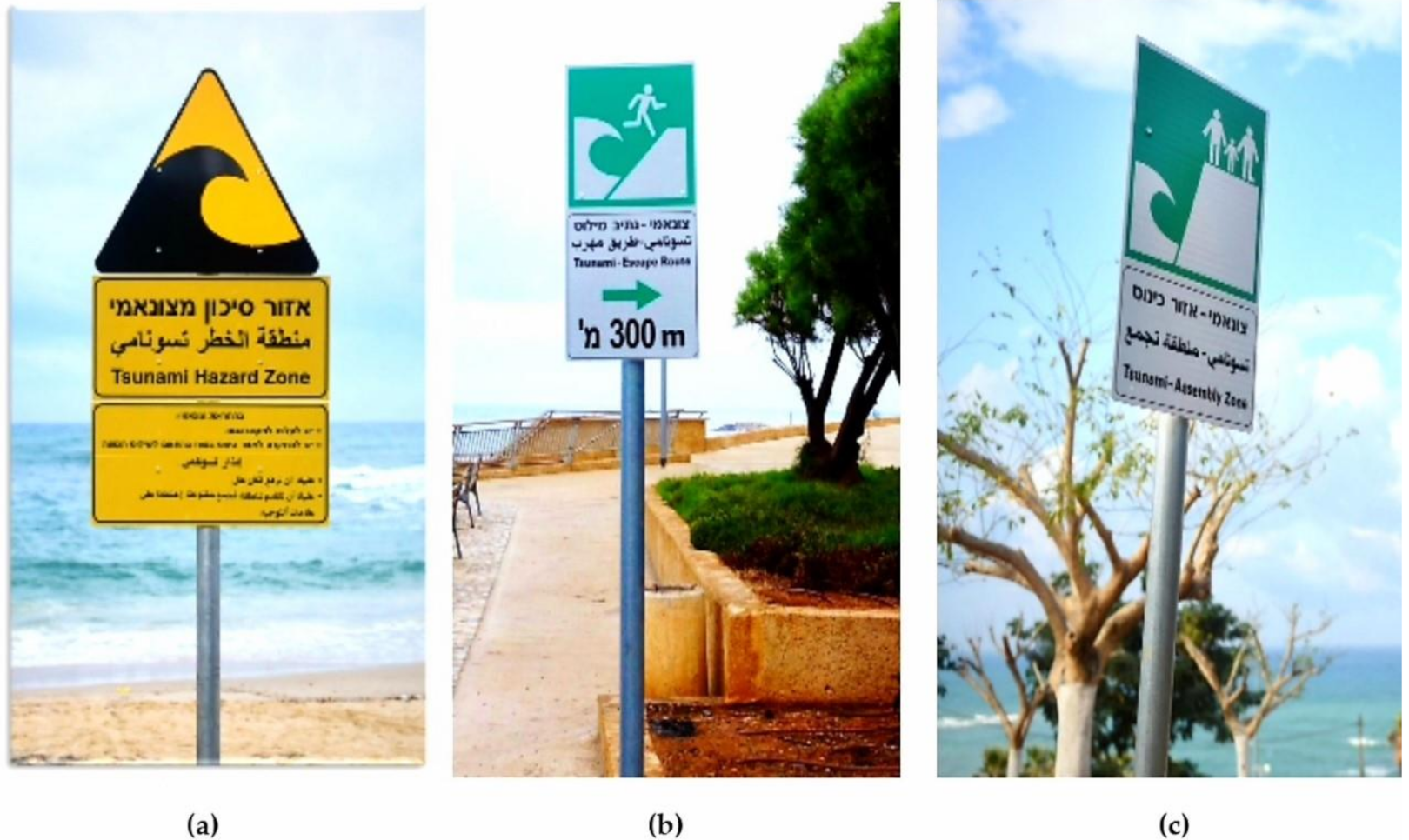 Encyclopedia 02 00023 g002 550