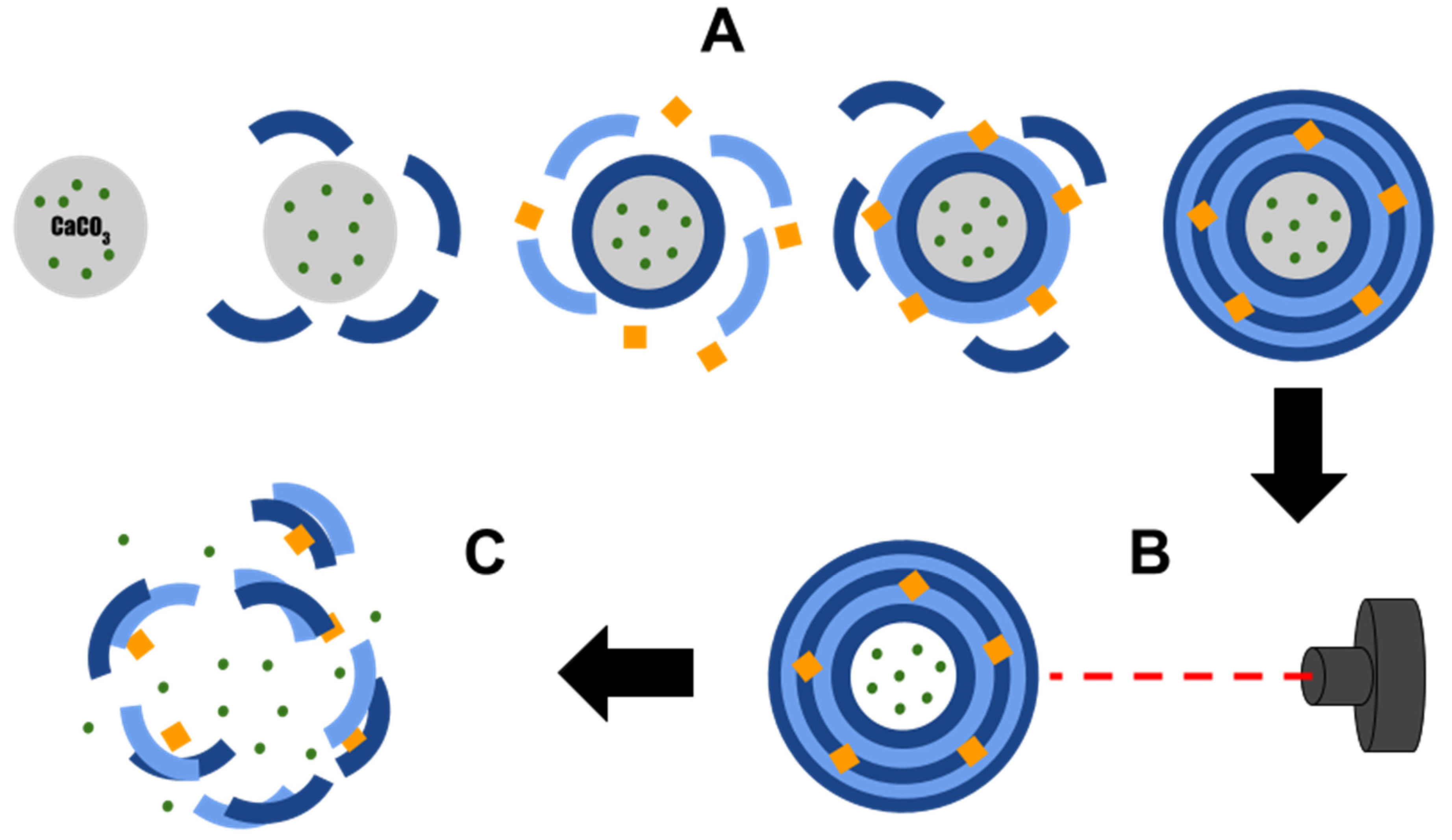 Encyclopedia 02 00026 g001 550