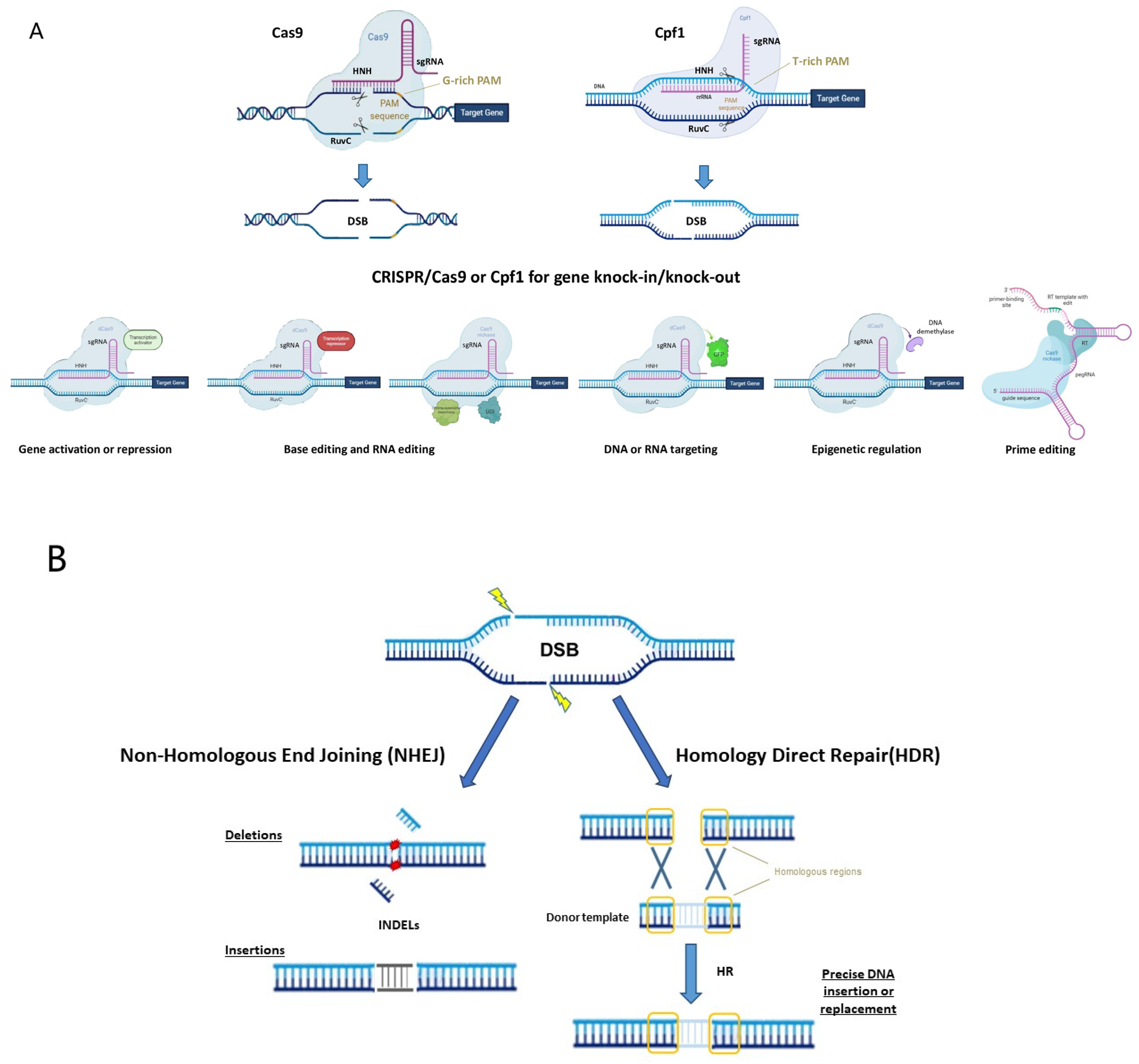 Encyclopedia 02 00036 g001 550