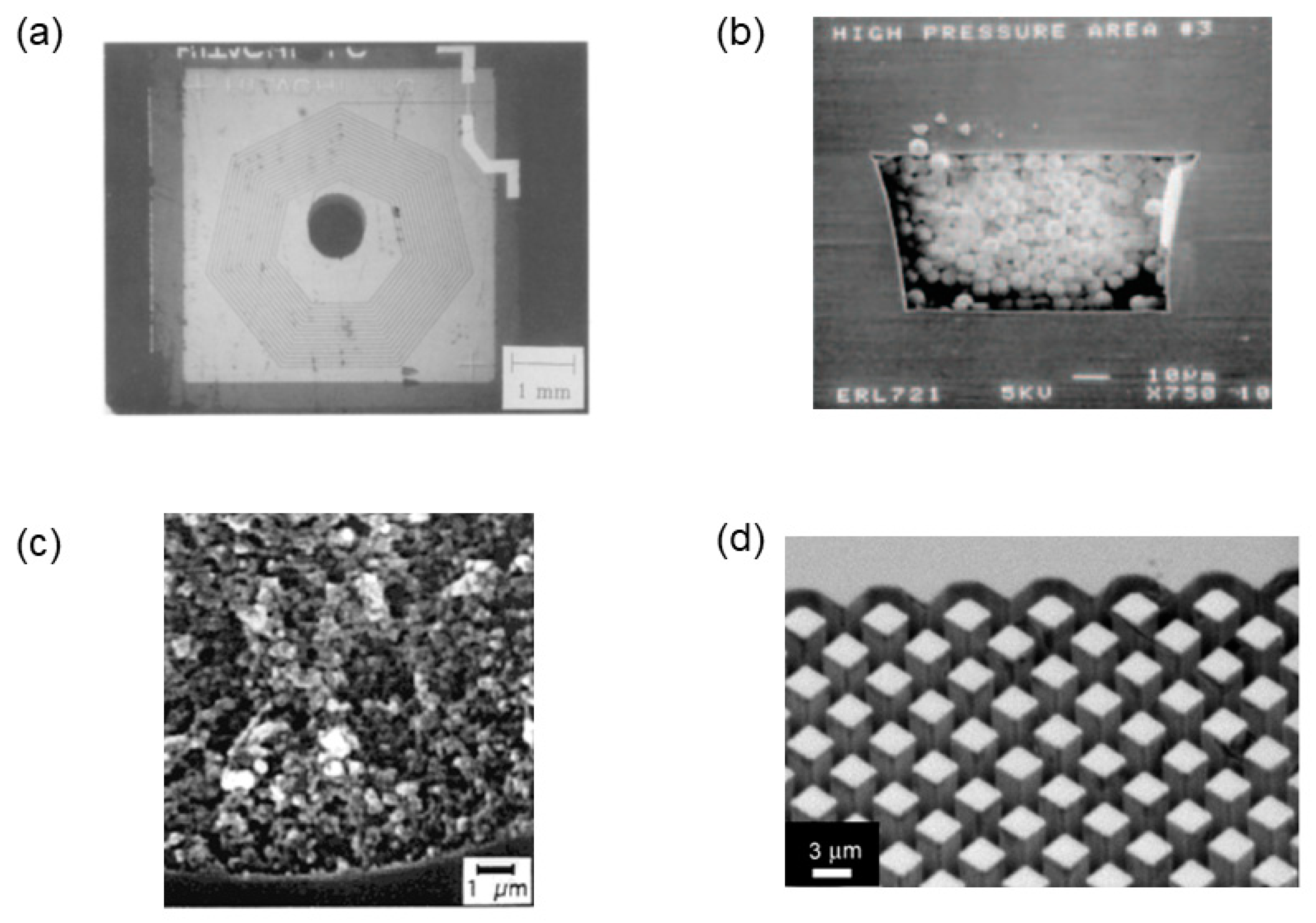 Encyclopedia 02 00041 g001