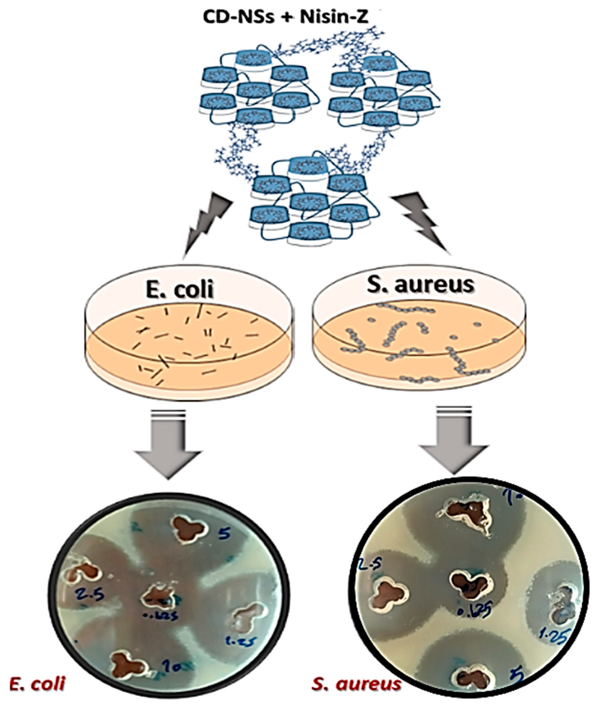 Encyclopedia 02 00052 g003