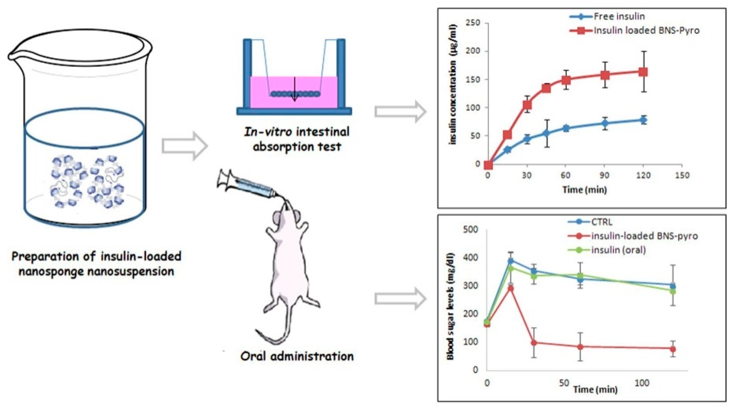 Encyclopedia 02 00052 g004