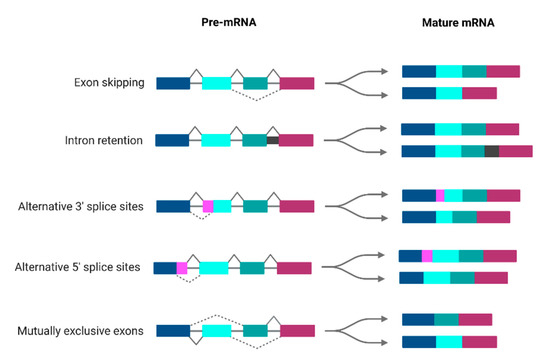 Recent Advances in Research on Molecular Mechanisms of Recent Advances in Research on Molecular Mechanisms of