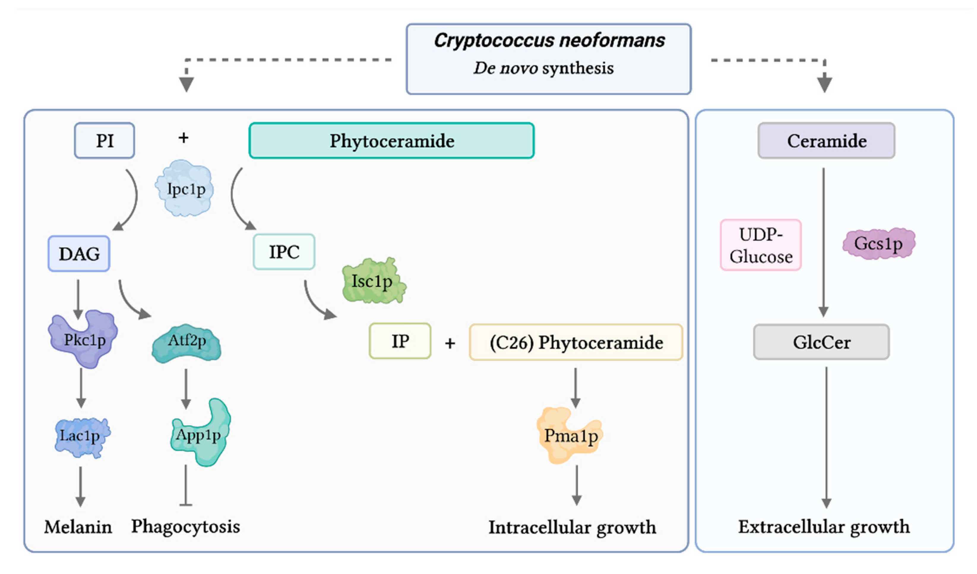 Encyclopedia 02 00055 g007