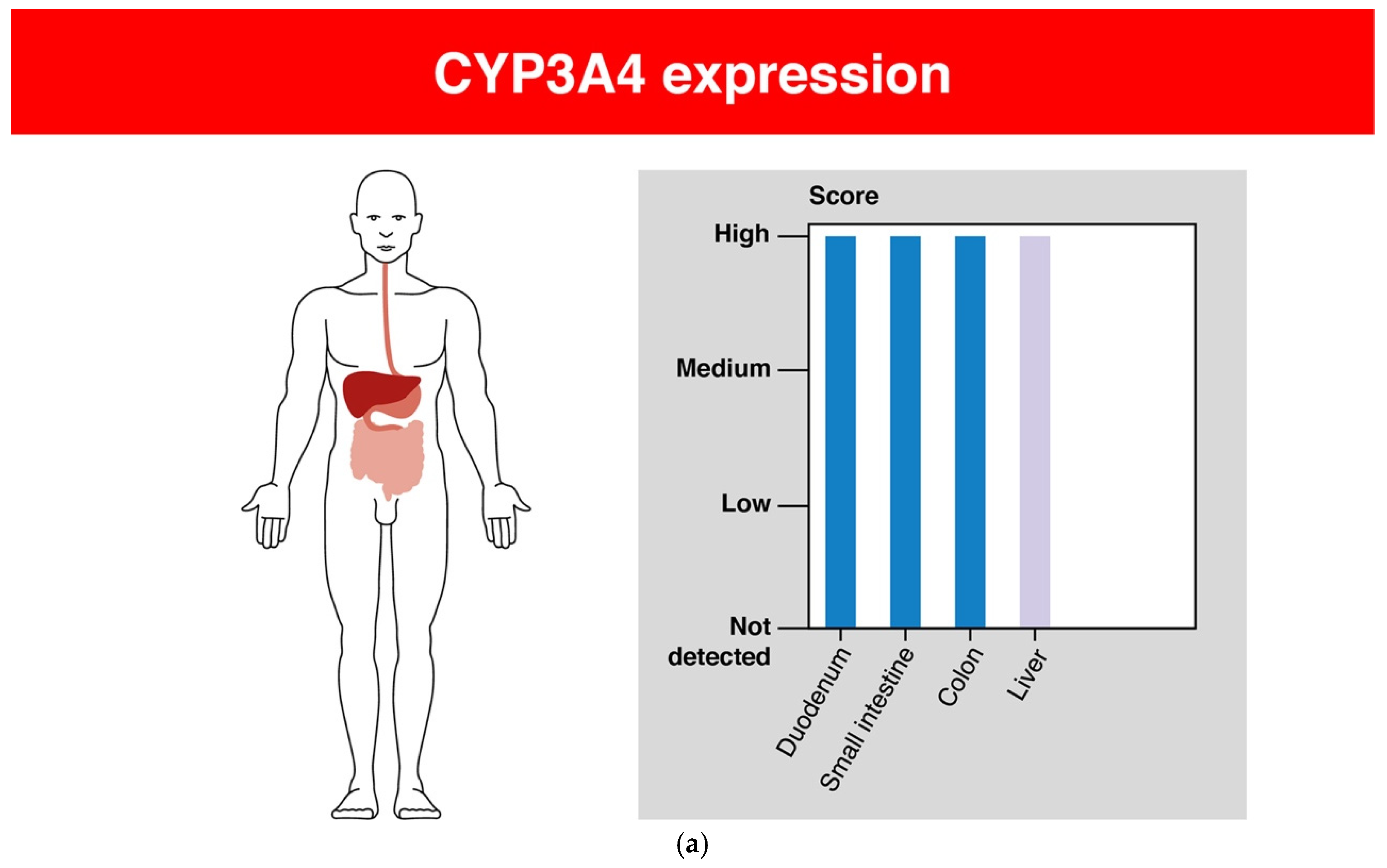 Encyclopedia 02 00064 g003a