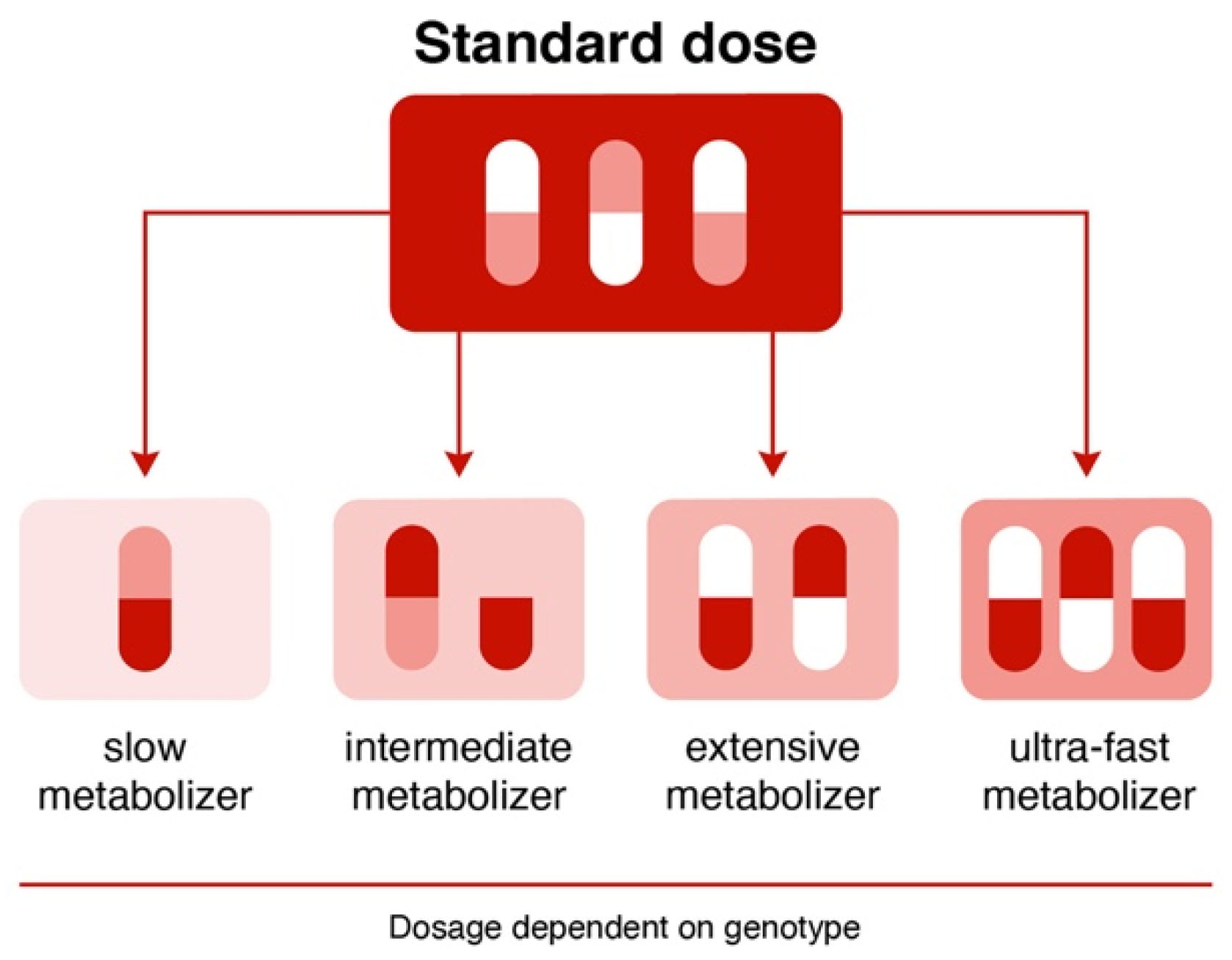 Encyclopedia 02 00064 g004
