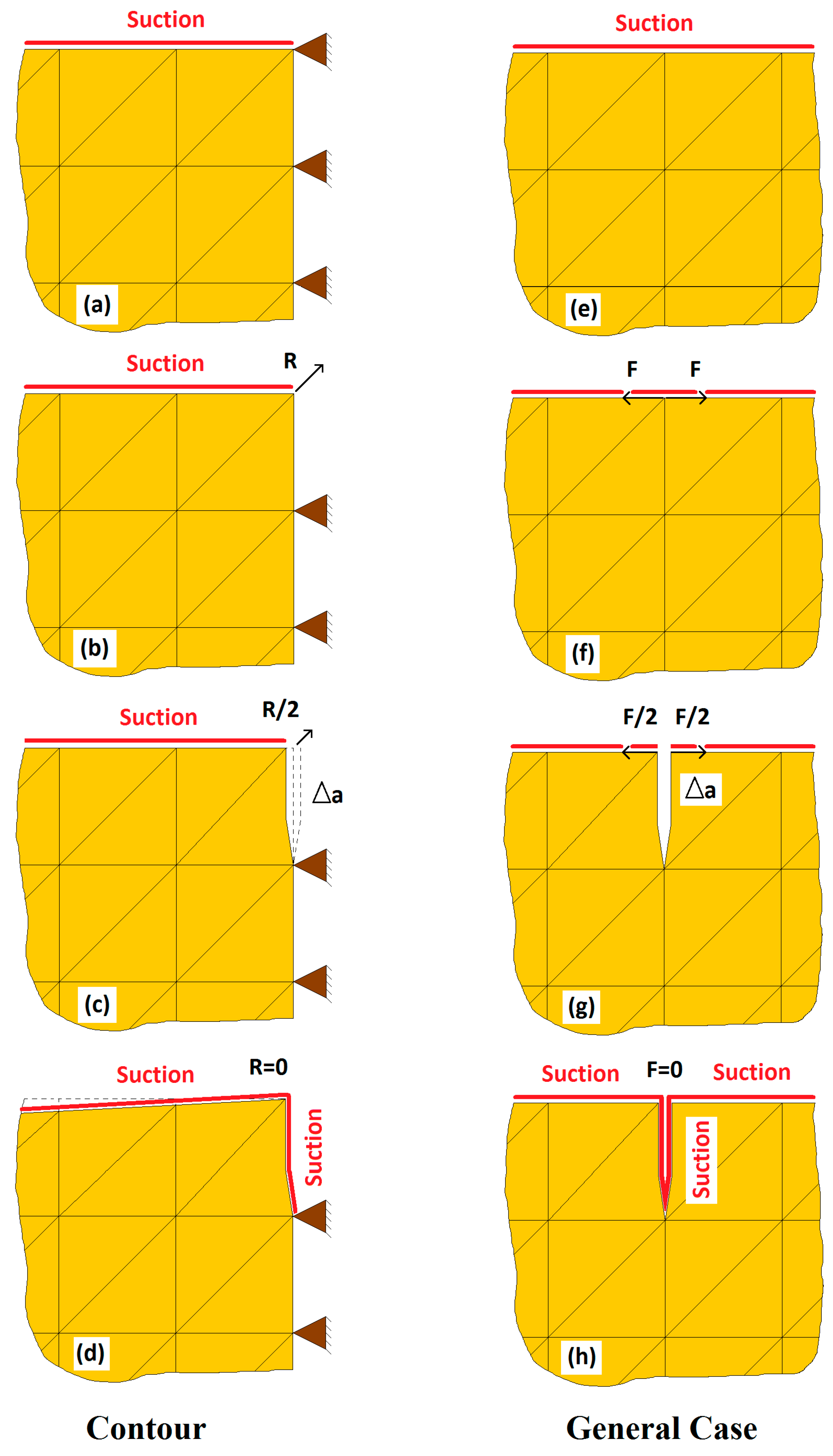 Encyclopedia 02 00068 g004