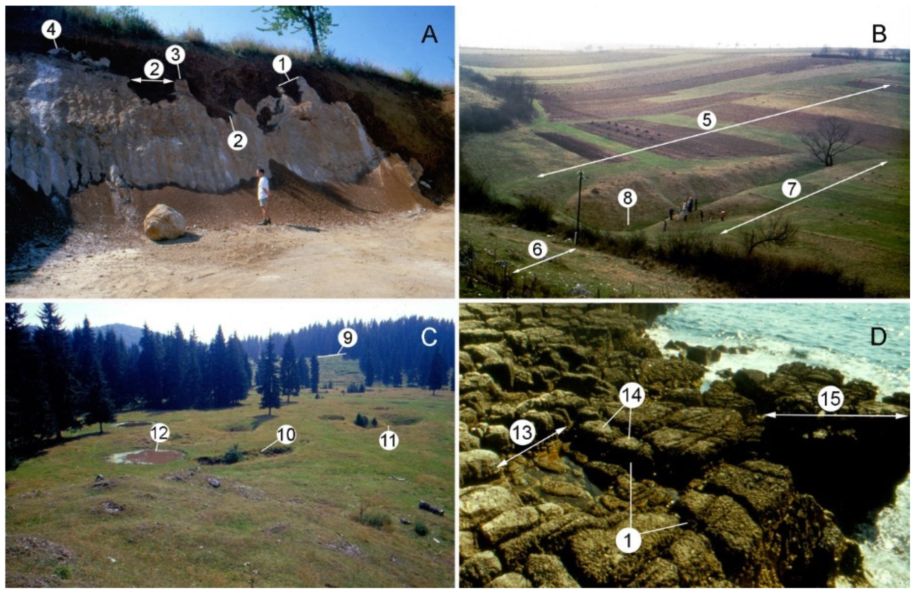 Encyclopedia 02 00073 g002 550