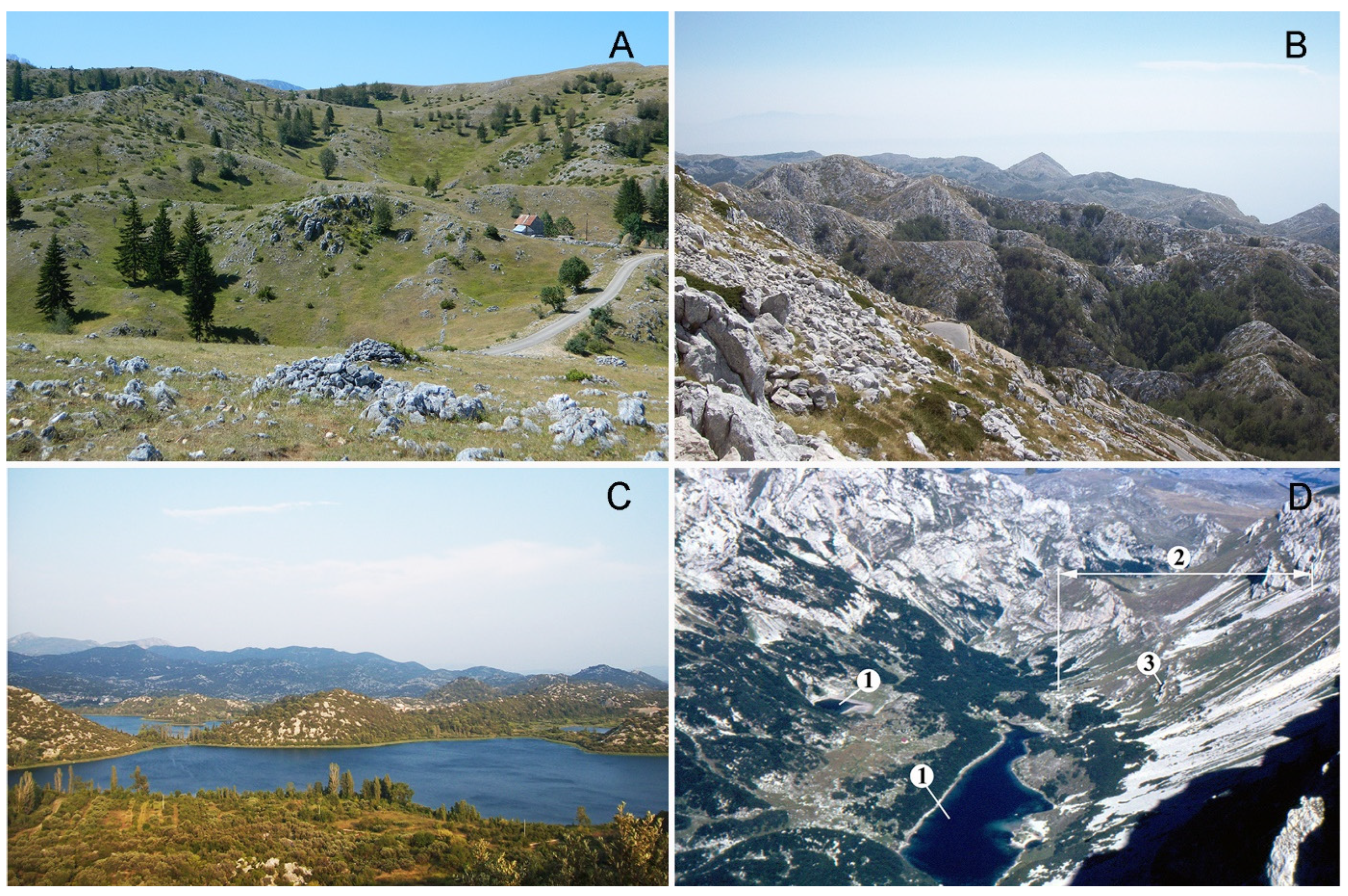 Encyclopedia 02 00073 g003 550