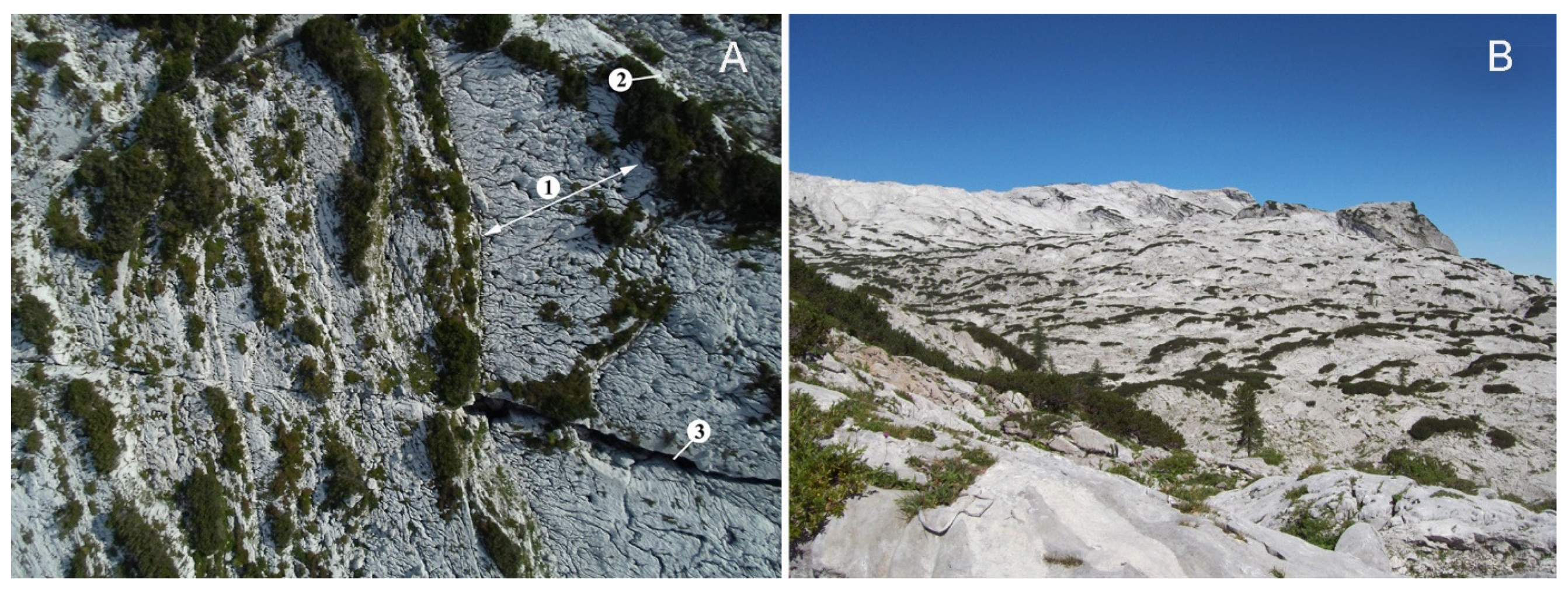 Encyclopedia 02 00073 g006 550