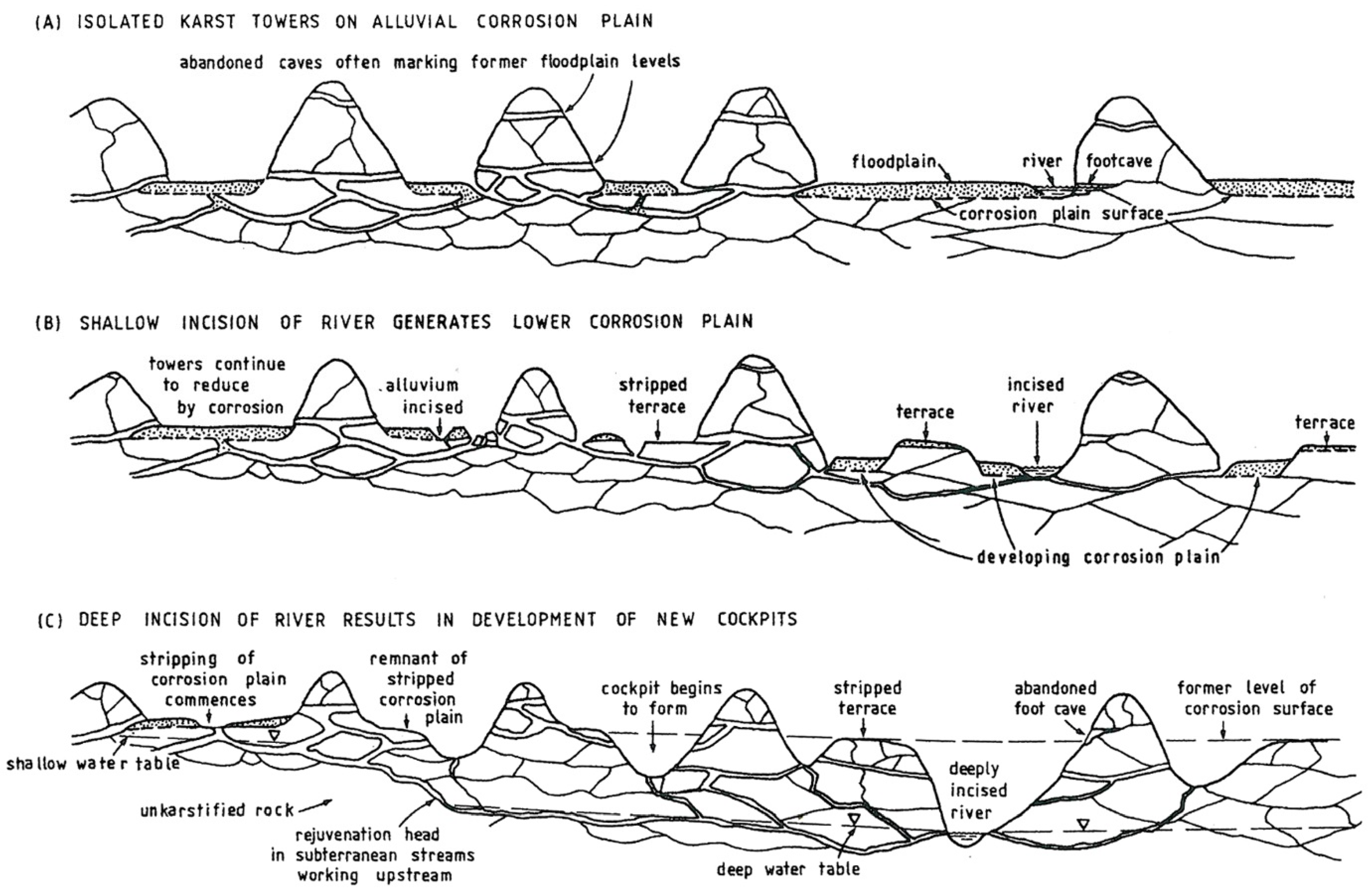 Encyclopedia 02 00073 g008 550