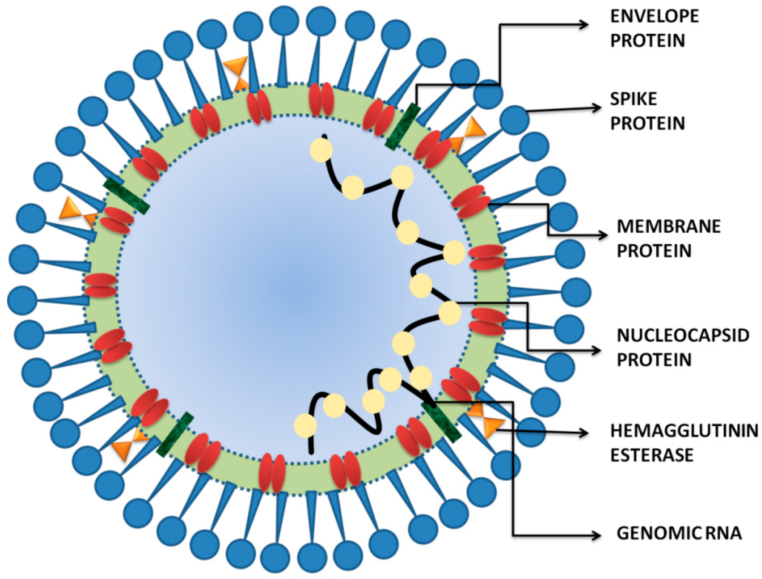 Encyclopedia 02 00076 g001