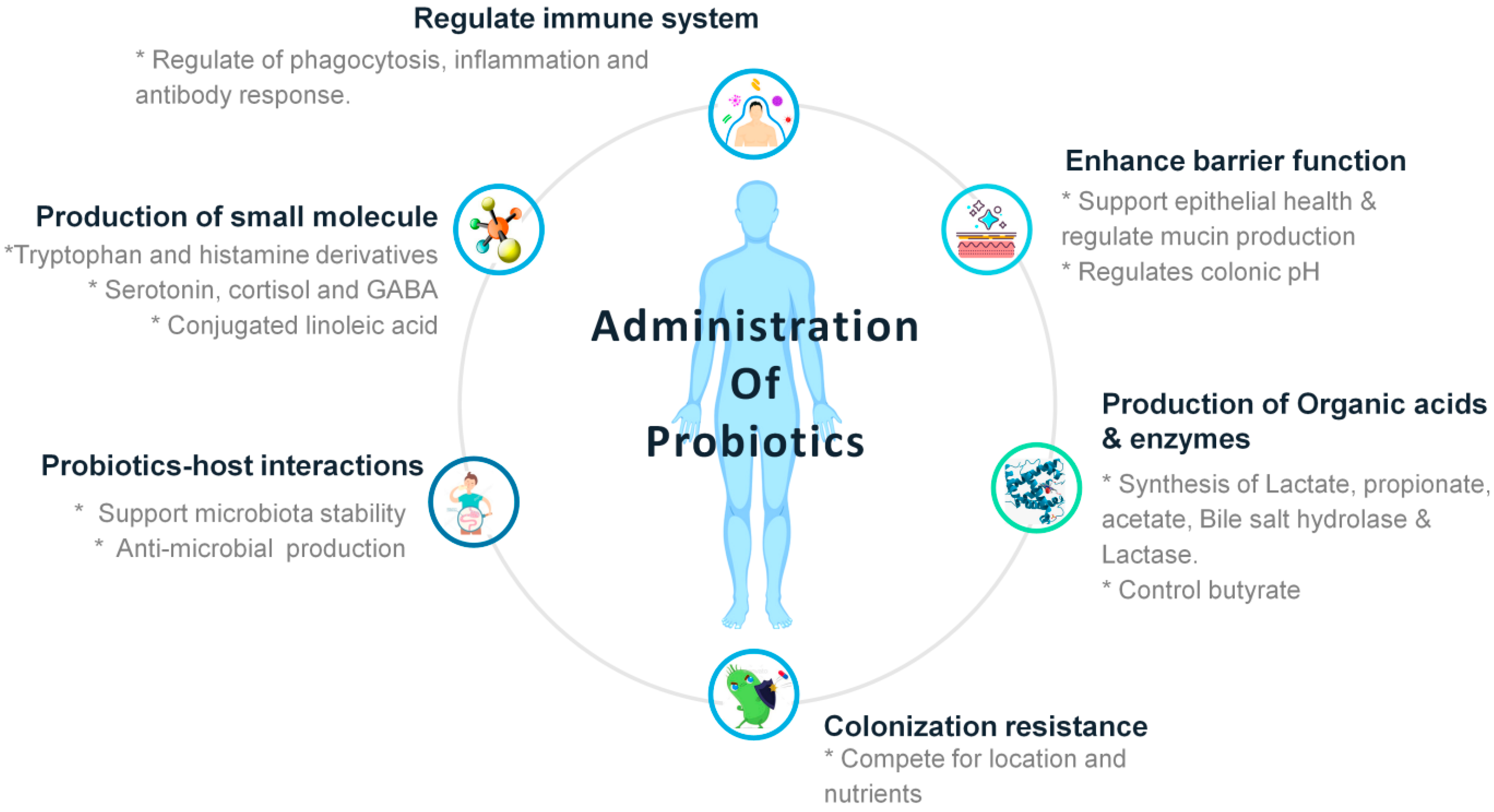 Encyclopedia 02 00076 g002
