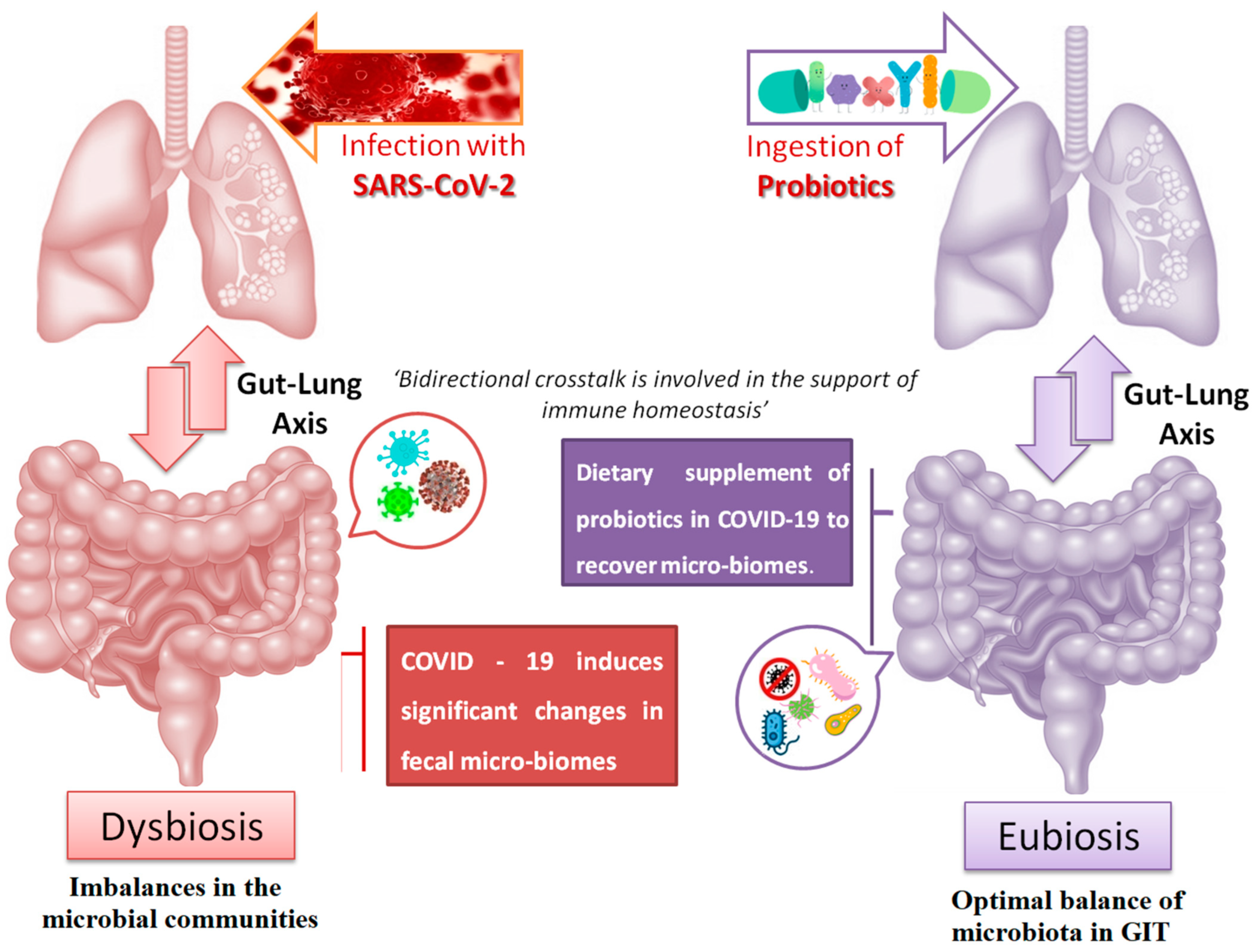 Encyclopedia 02 00076 g003