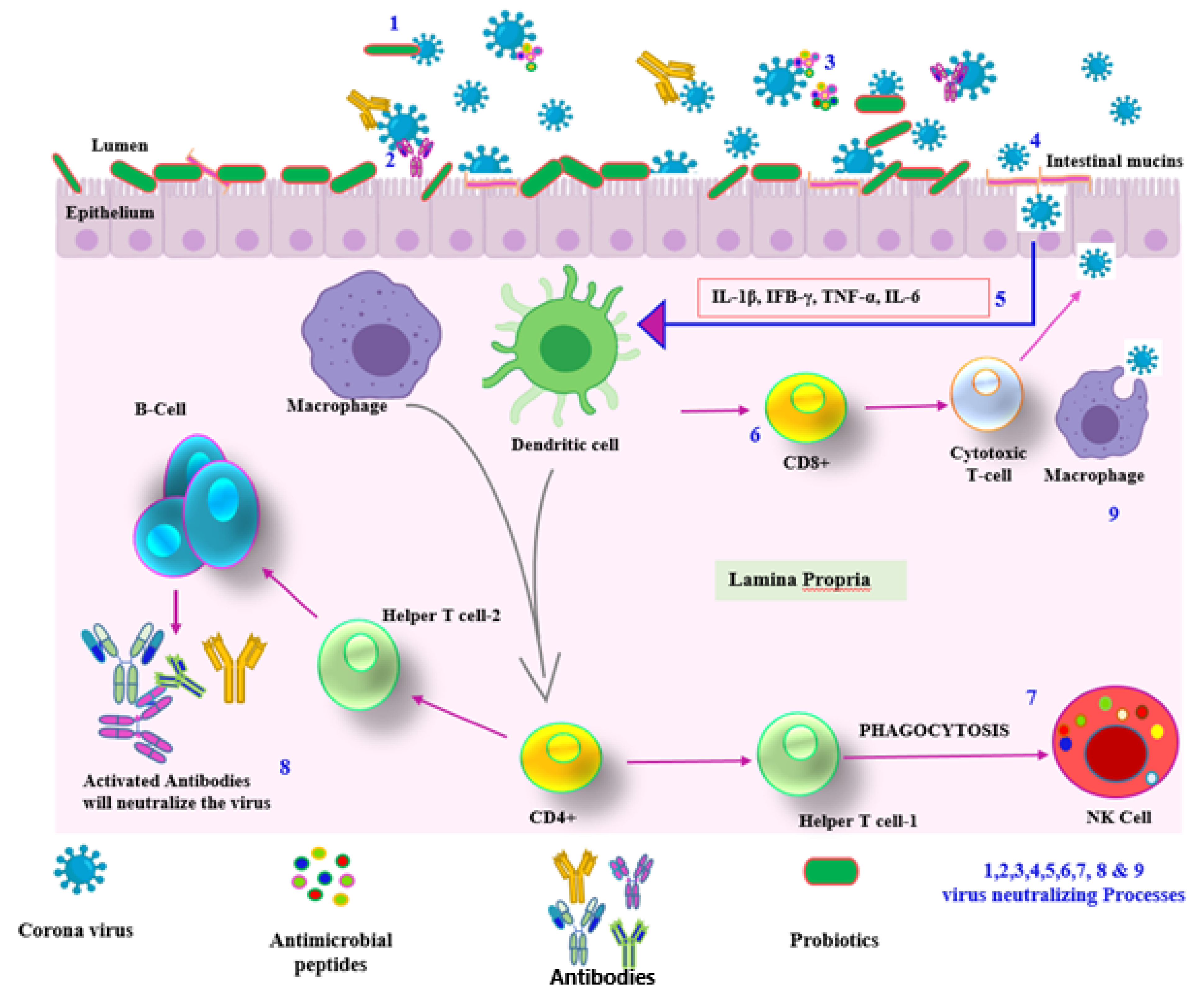 Encyclopedia 02 00076 g004