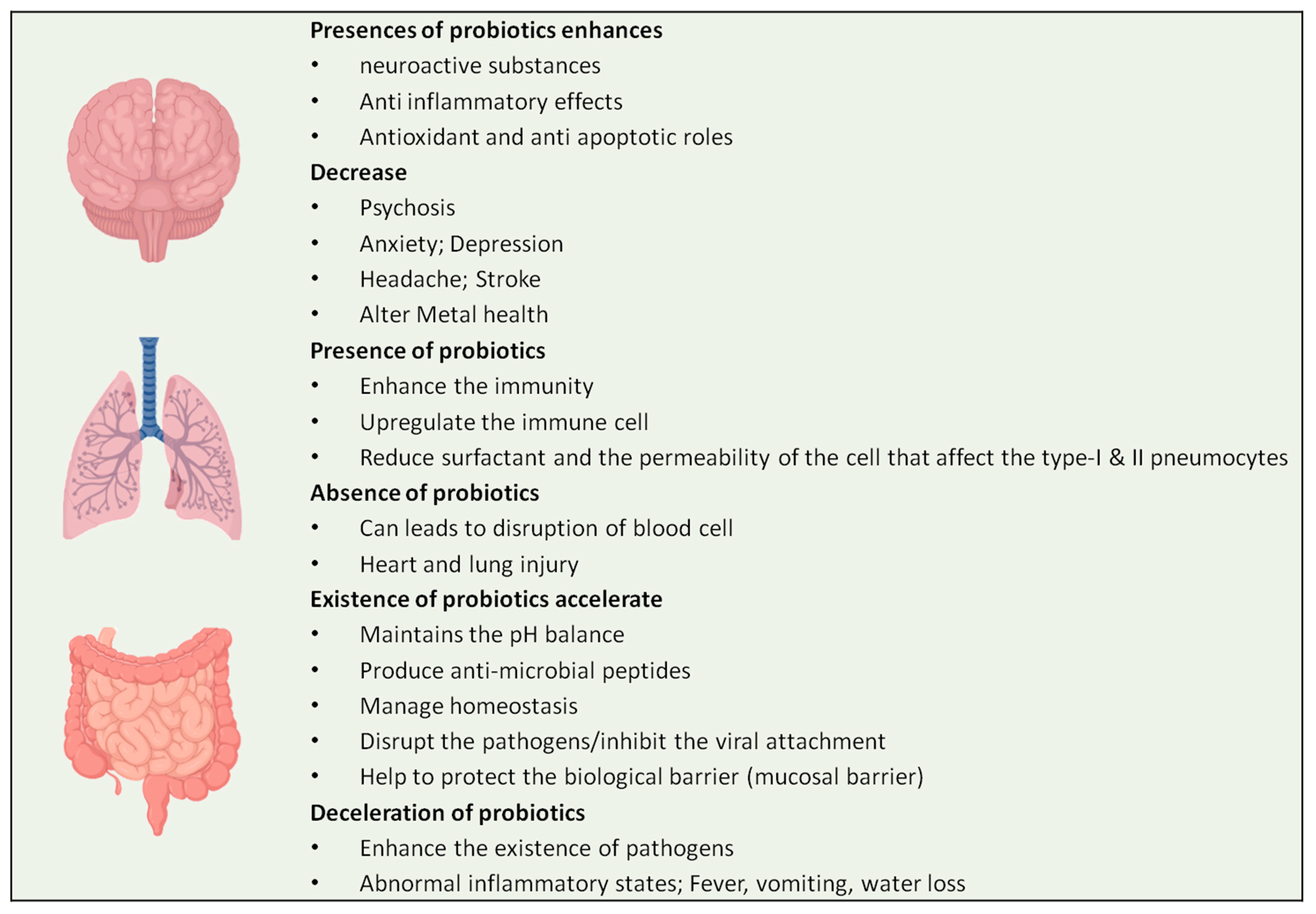 Encyclopedia 02 00076 g005