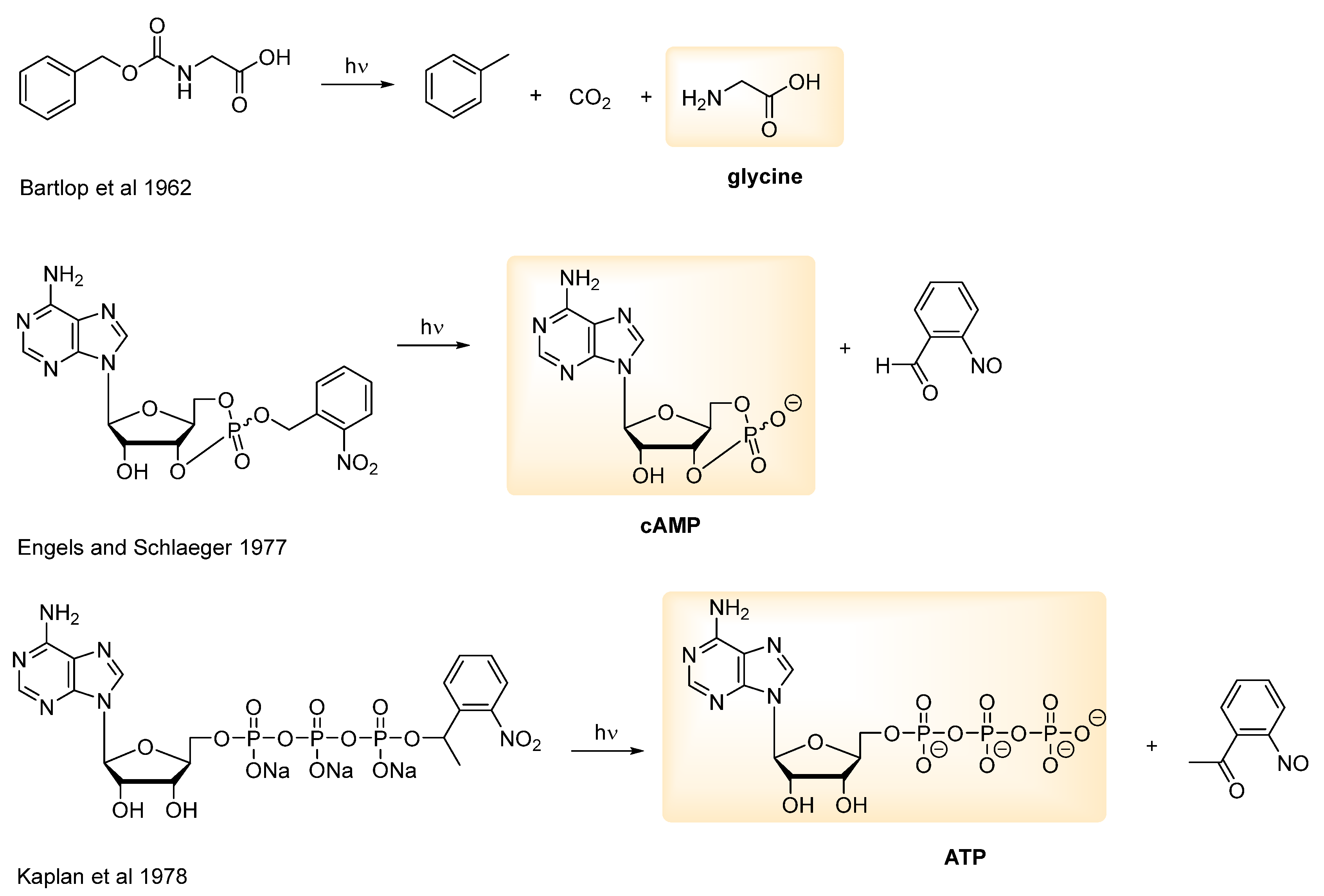 Encyclopedia 02 00082 g002 Encyclopedia 02 00082 g002