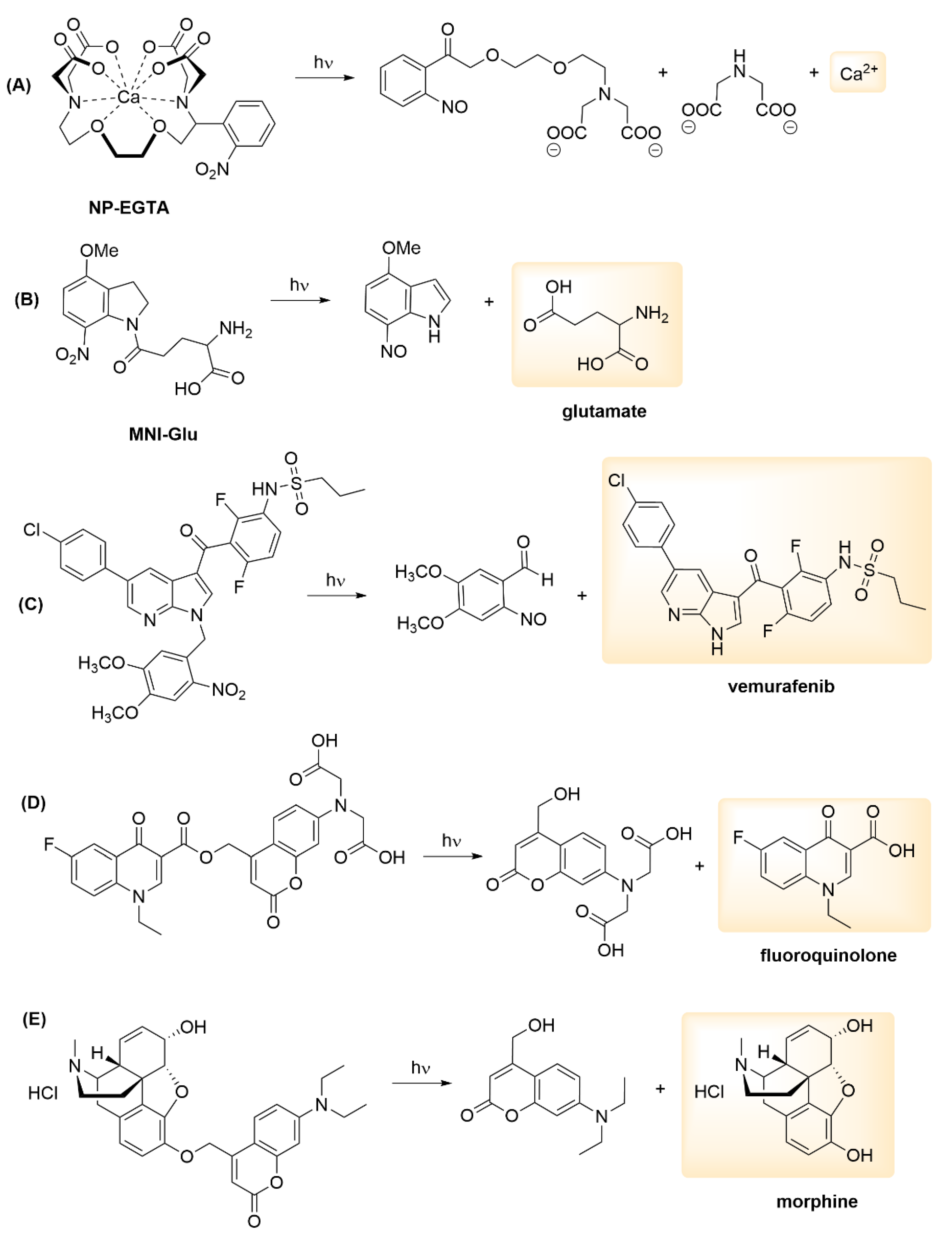 Encyclopedia 02 00082 g003 Encyclopedia 02 00082 g003
