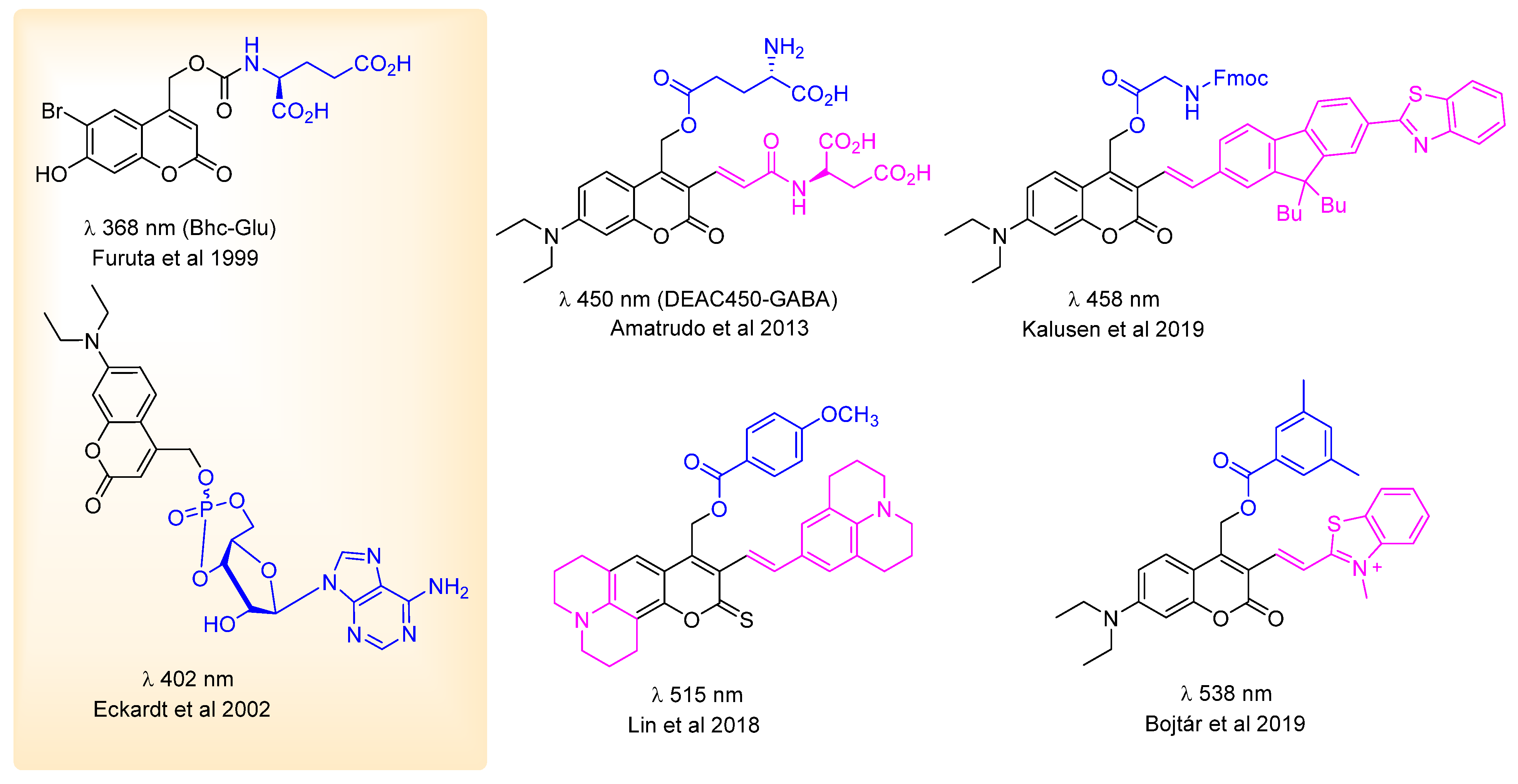 Encyclopedia 02 00082 g005 Encyclopedia 02 00082 g005