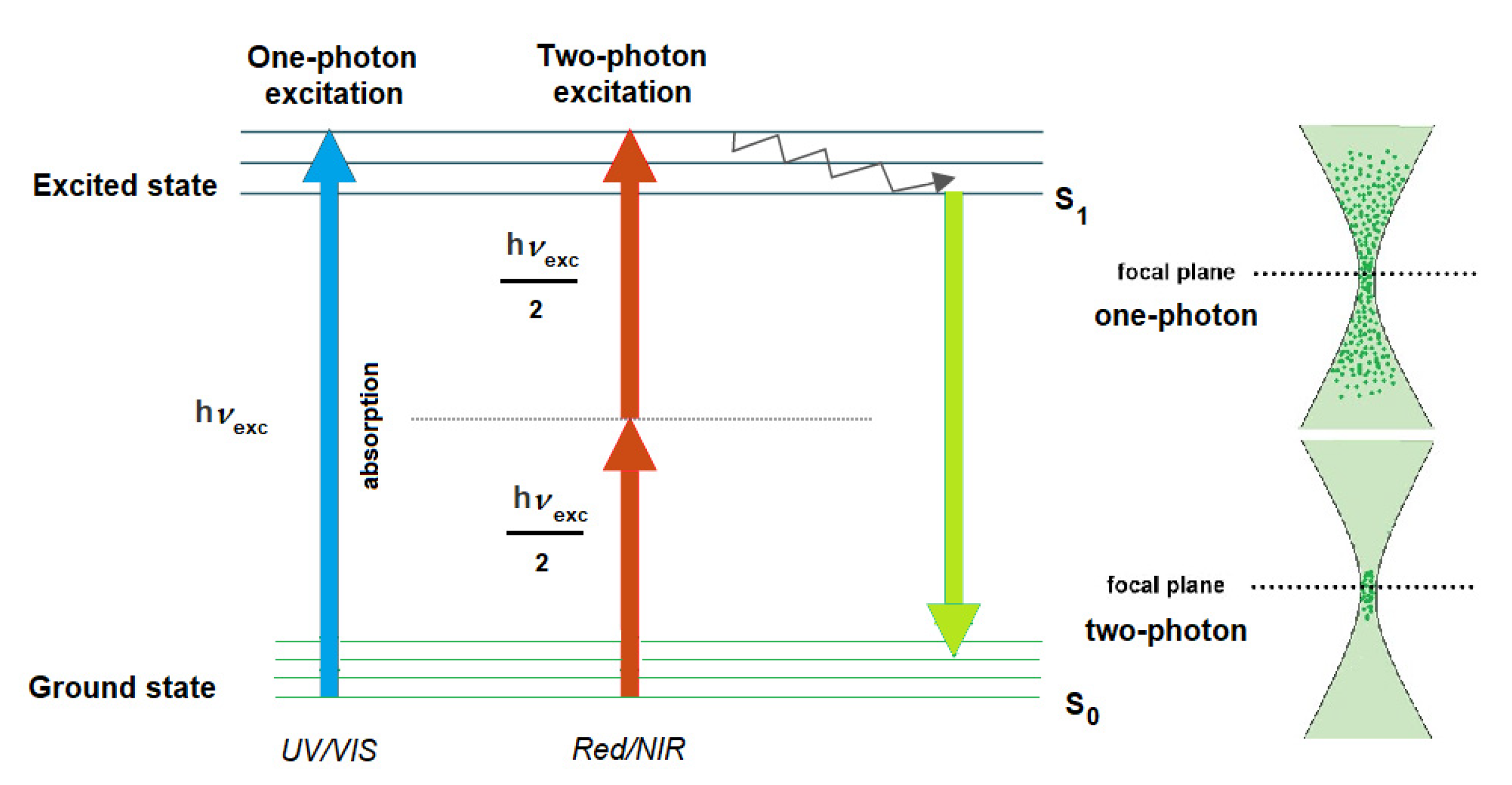 Encyclopedia 02 00082 g006 Encyclopedia 02 00082 g006