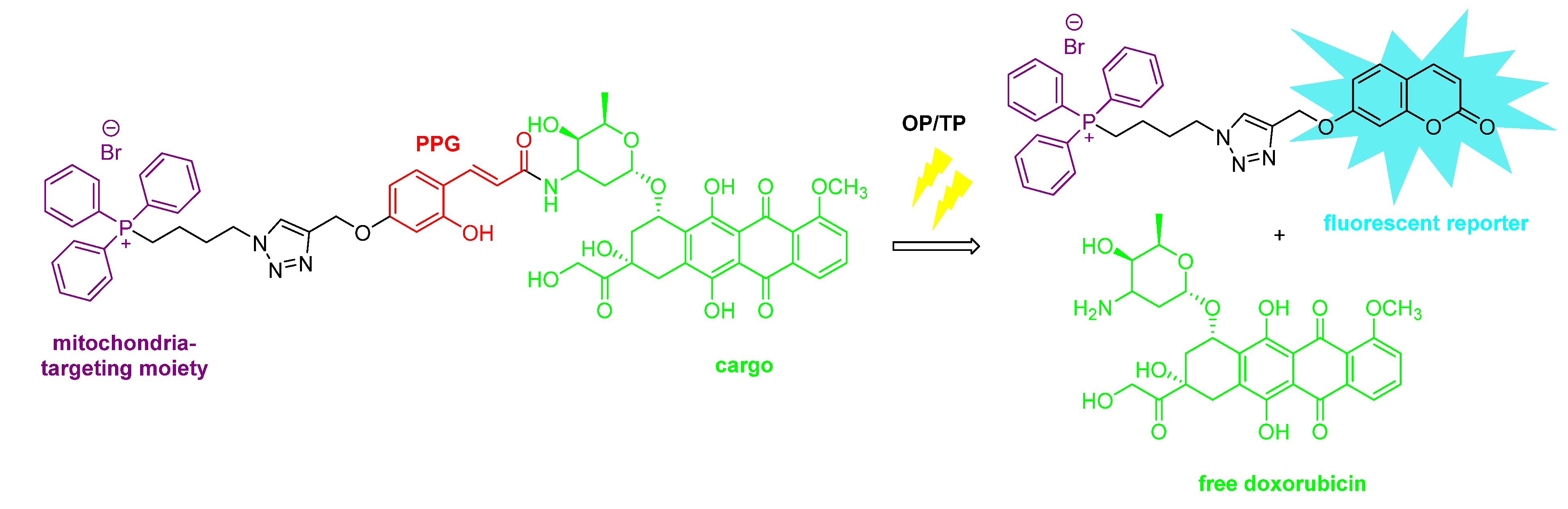 Encyclopedia 02 00082 g008 Encyclopedia 02 00082 g008