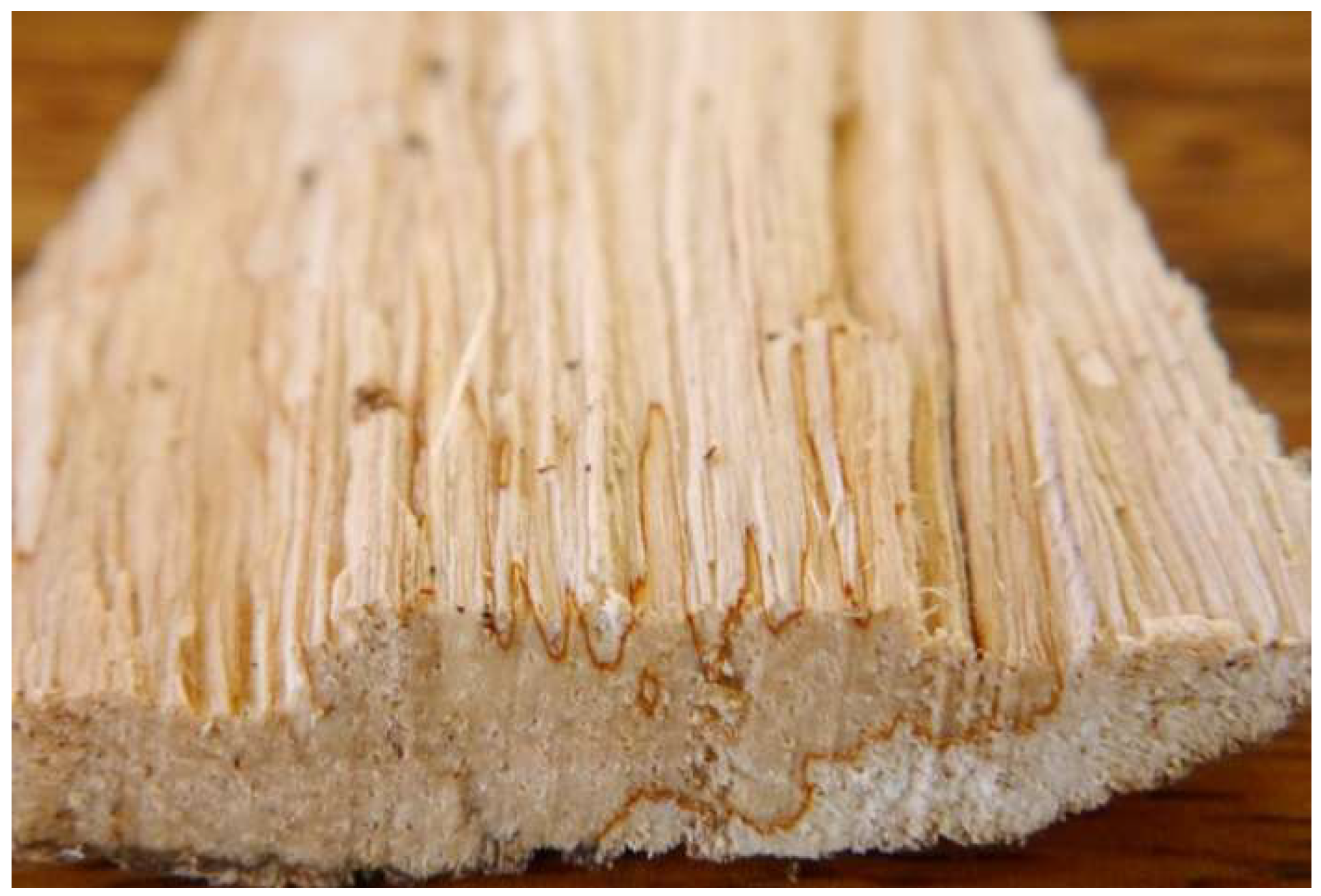 Encyclopedia 02 00094 g002