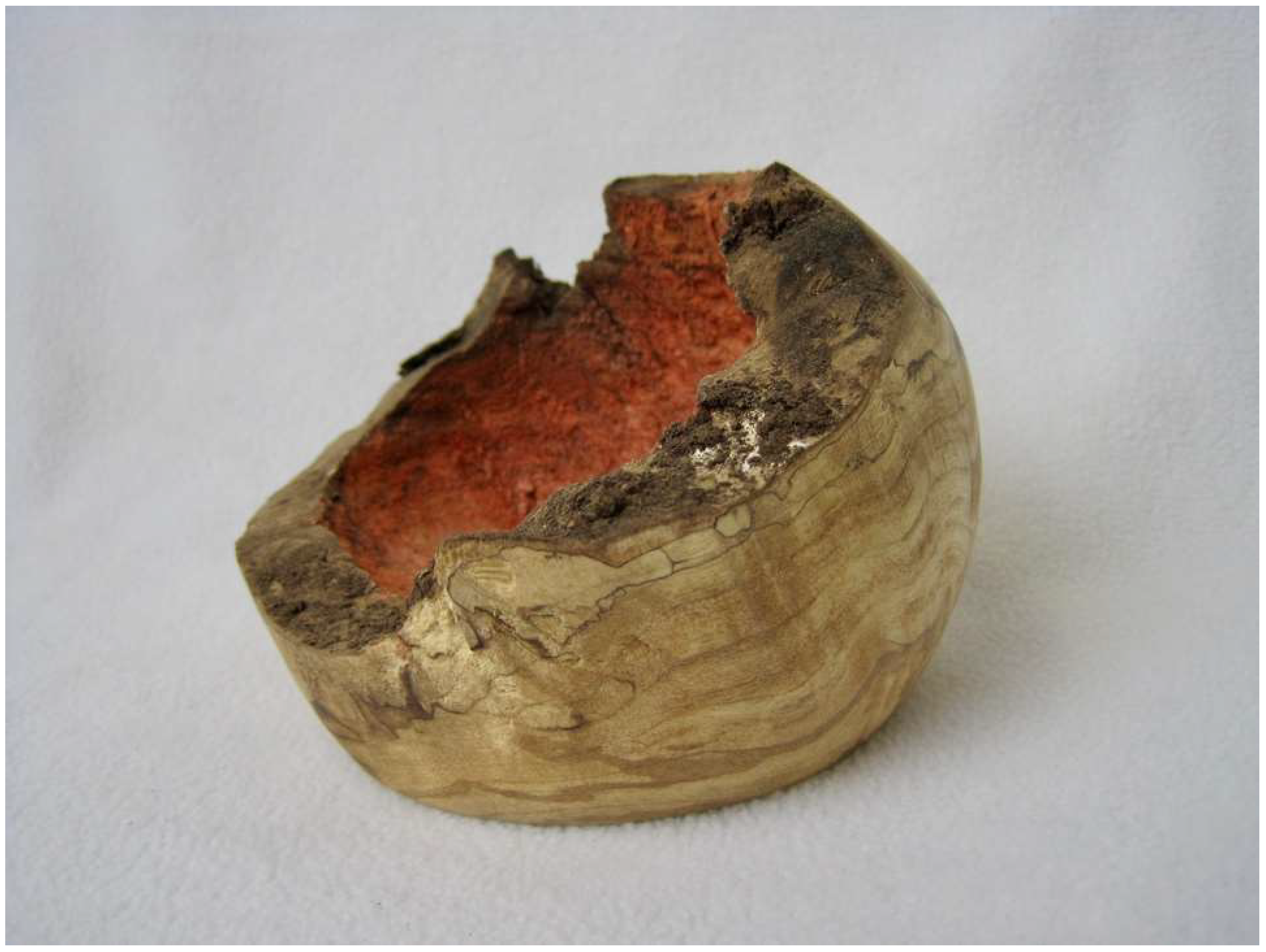 Encyclopedia 02 00094 g011