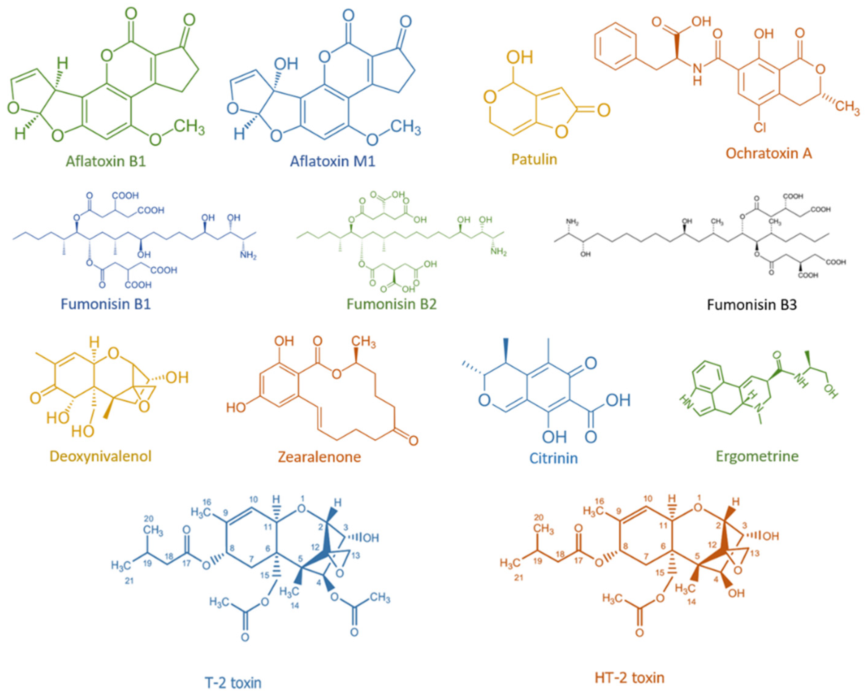 Encyclopedia 02 00098 g001
