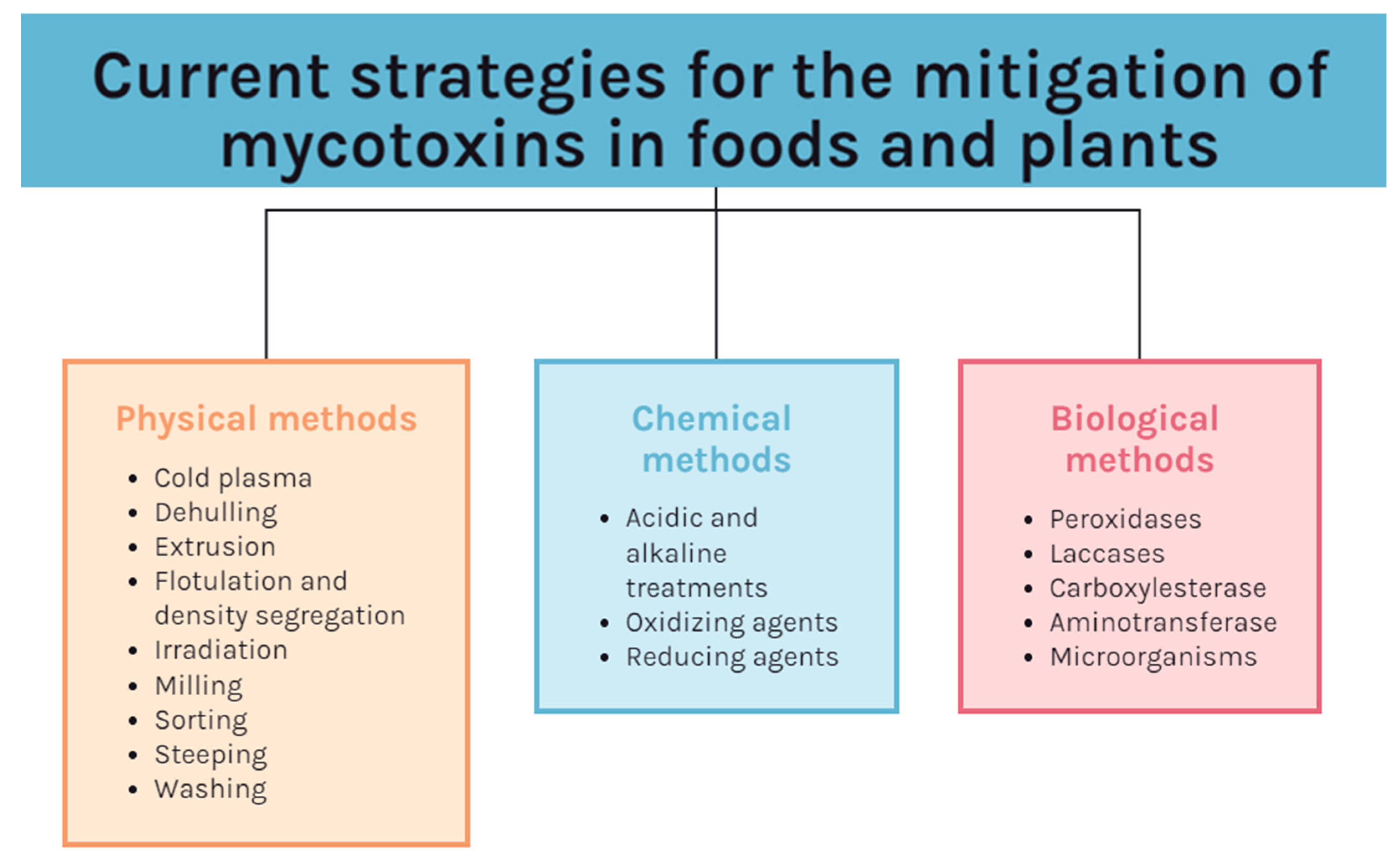 Encyclopedia 02 00098 g004