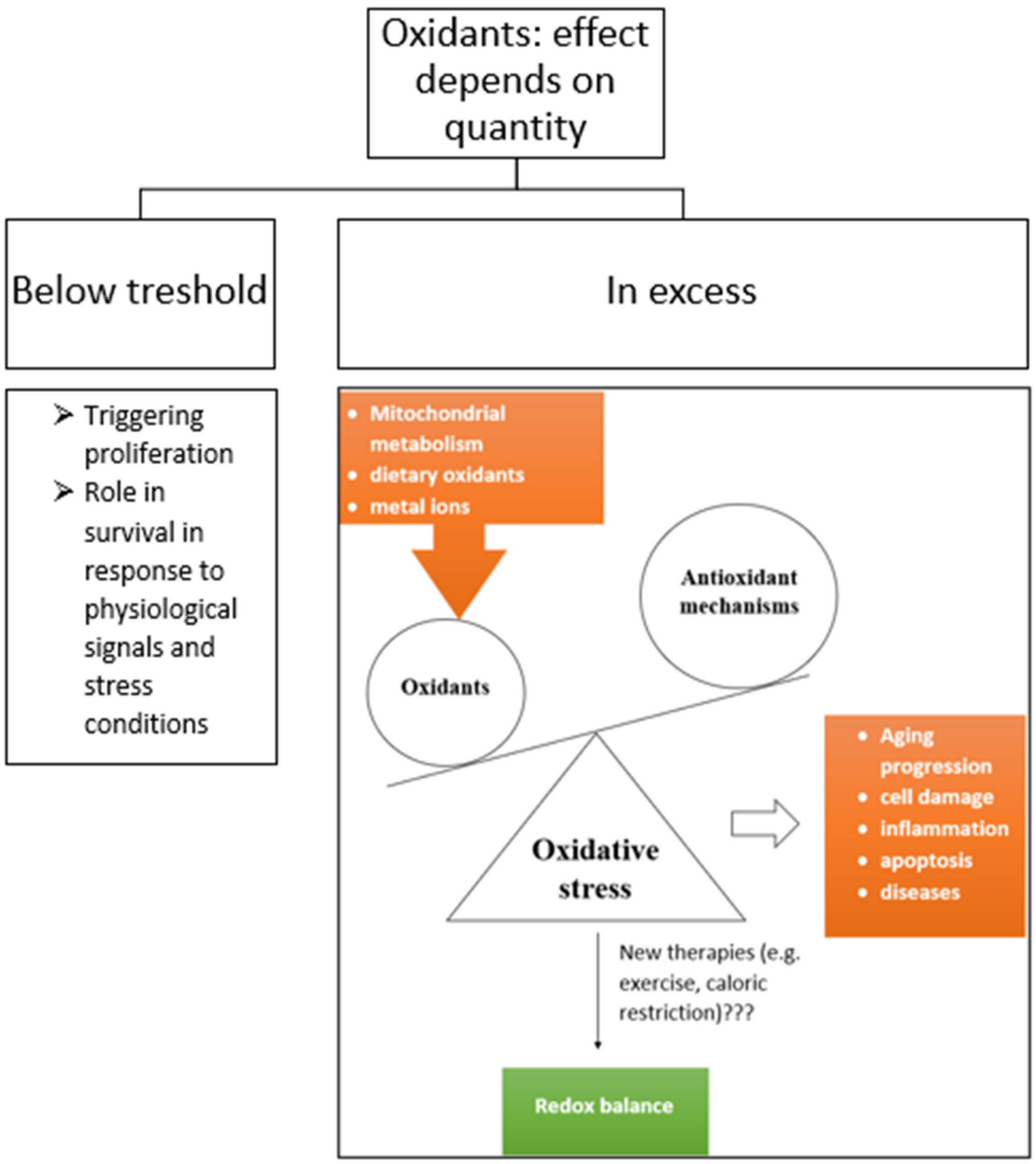 Encyclopedia 02 00105 g001