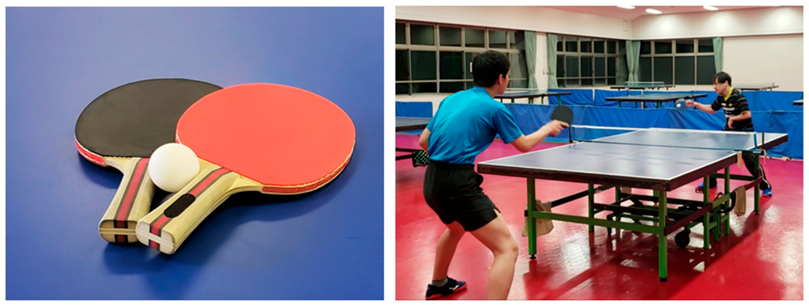 Oxygène Ping-pong table - aréa