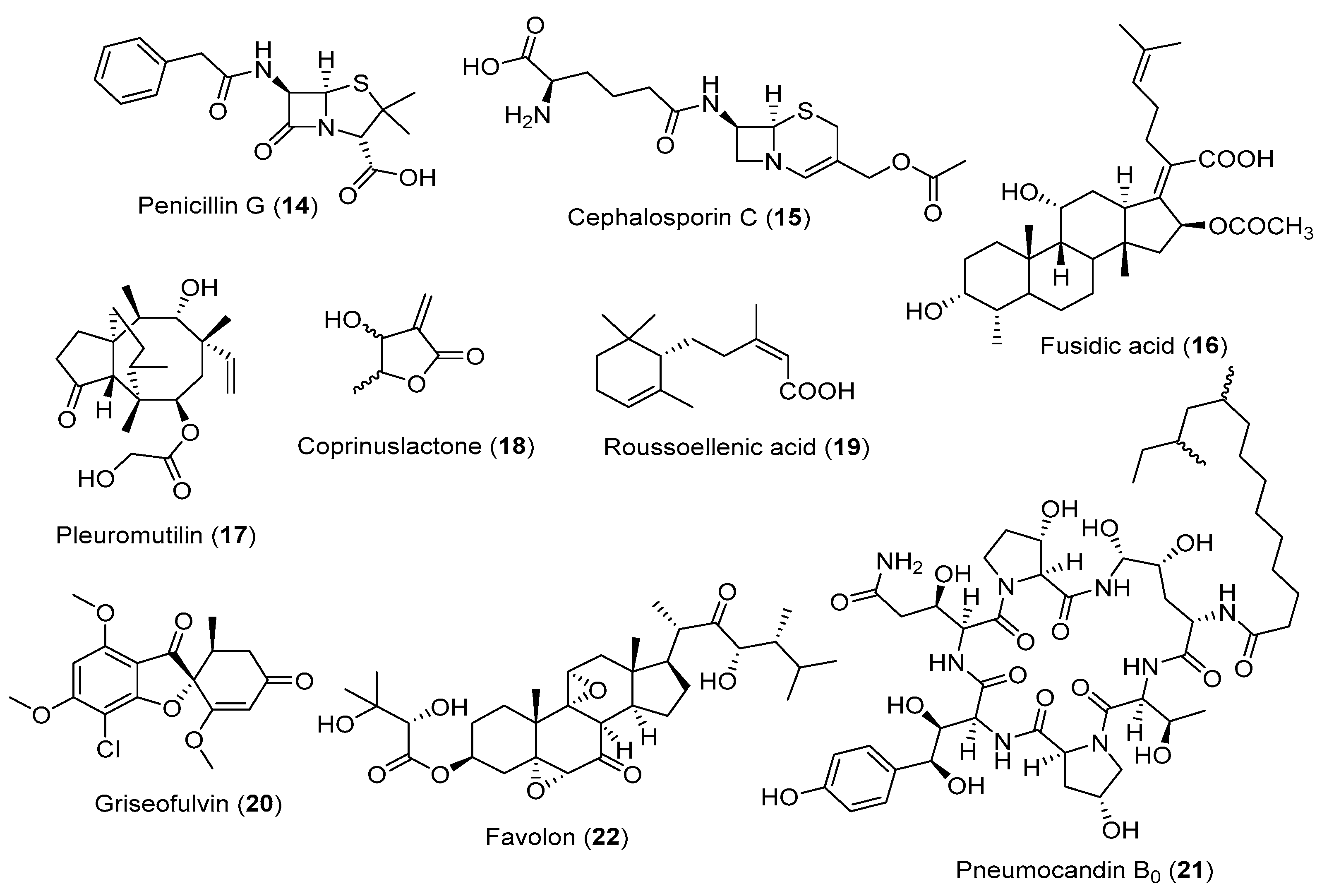 Encyclopedia 02 00108 g002