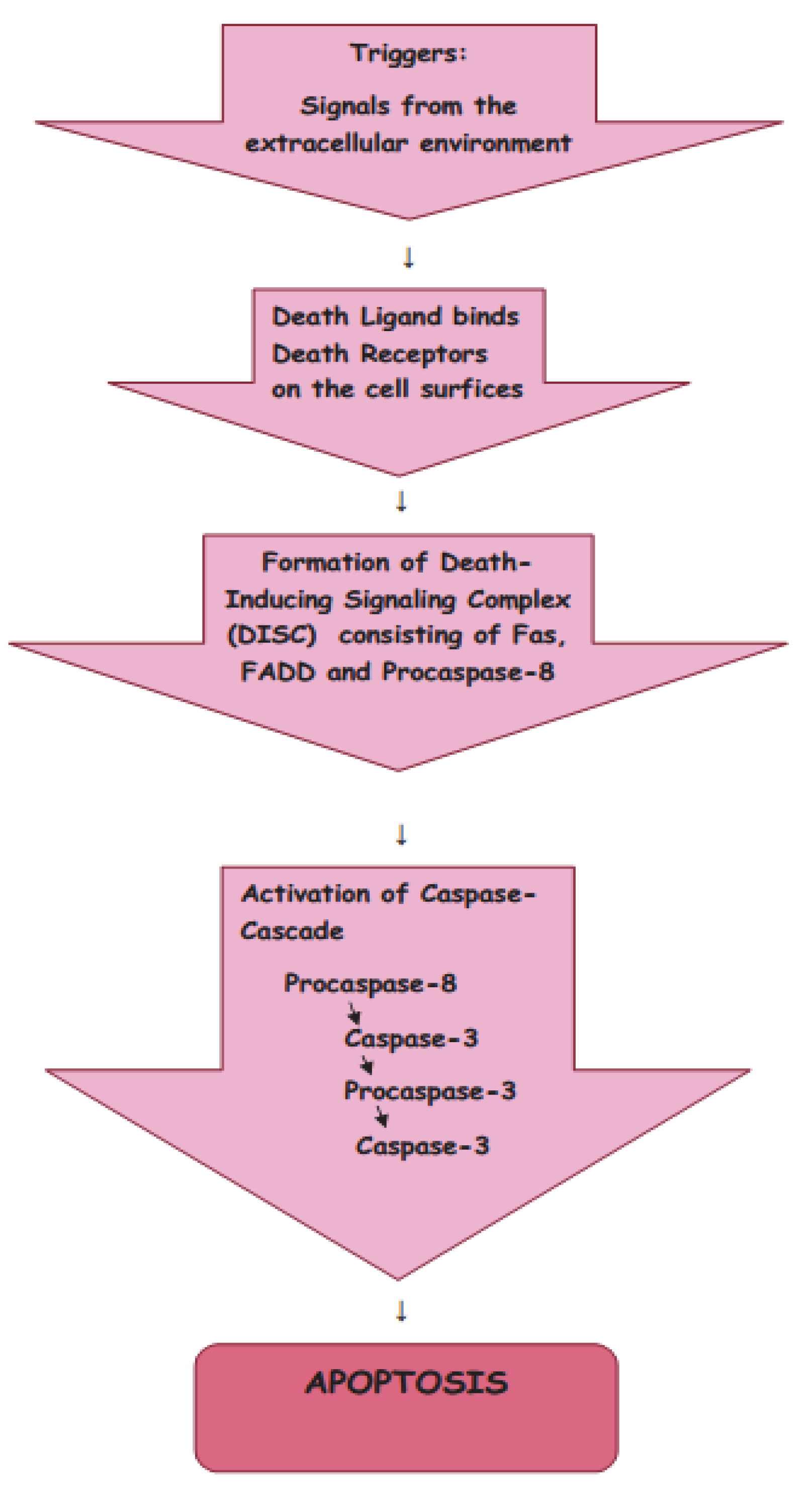 Encyclopedia 02 00111 g002 Encyclopedia 02 00111 g002