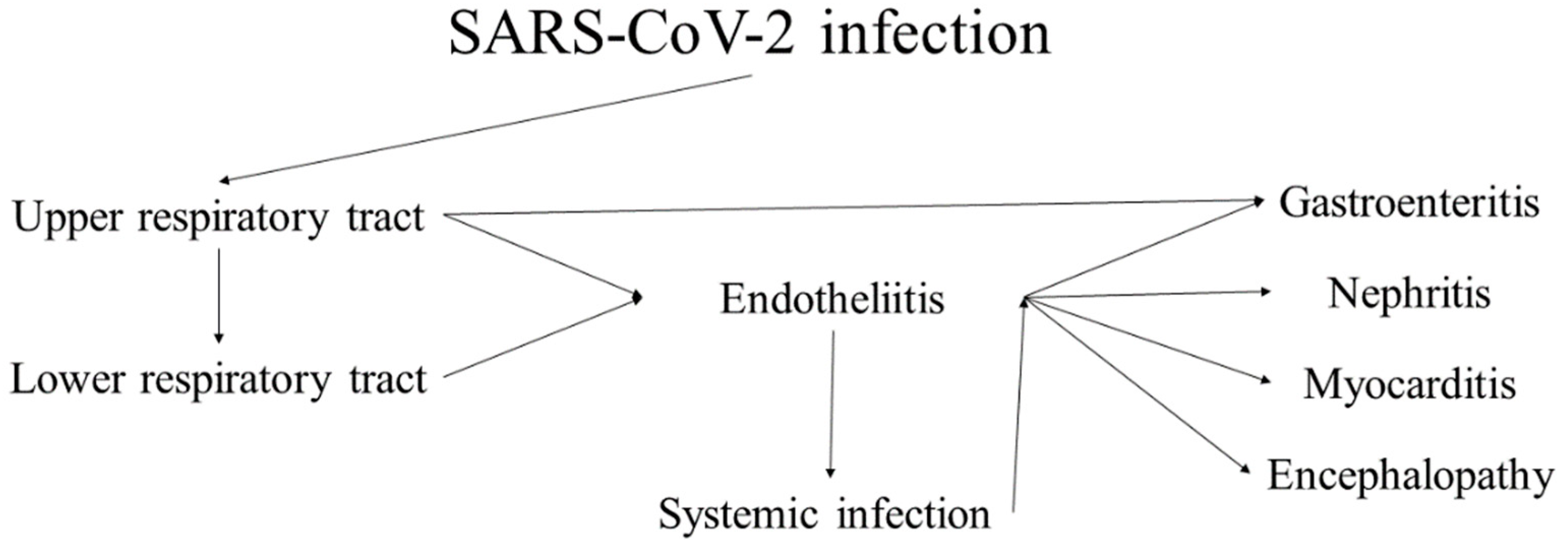SARS, MERS and COVID-19-Associated Renal Pathology