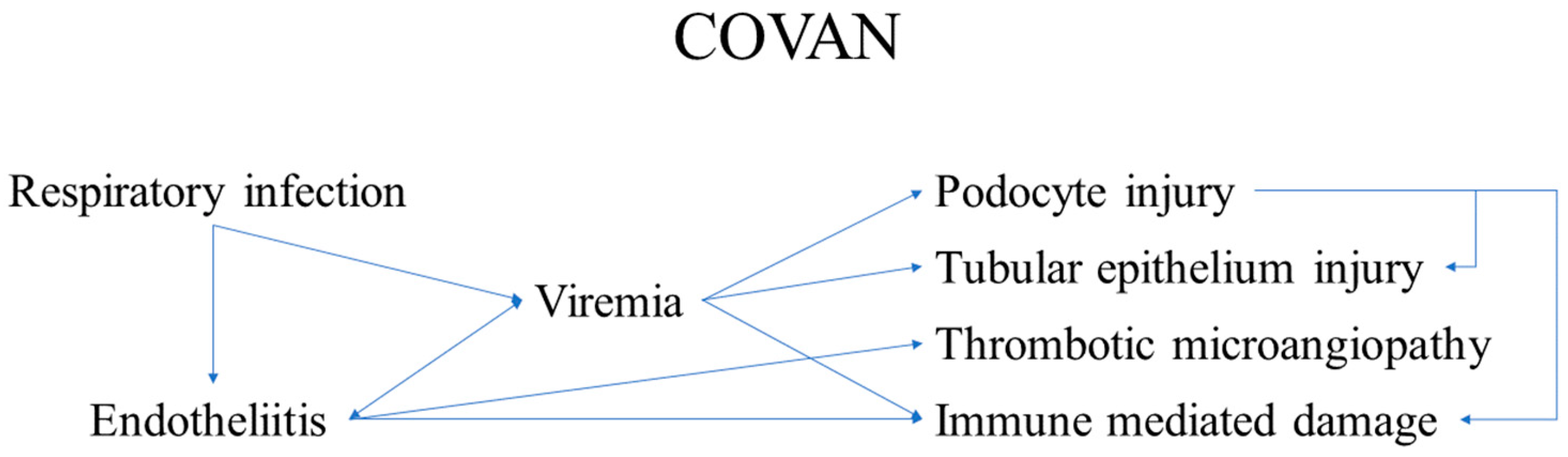 Encyclopedia 02 00117 g002