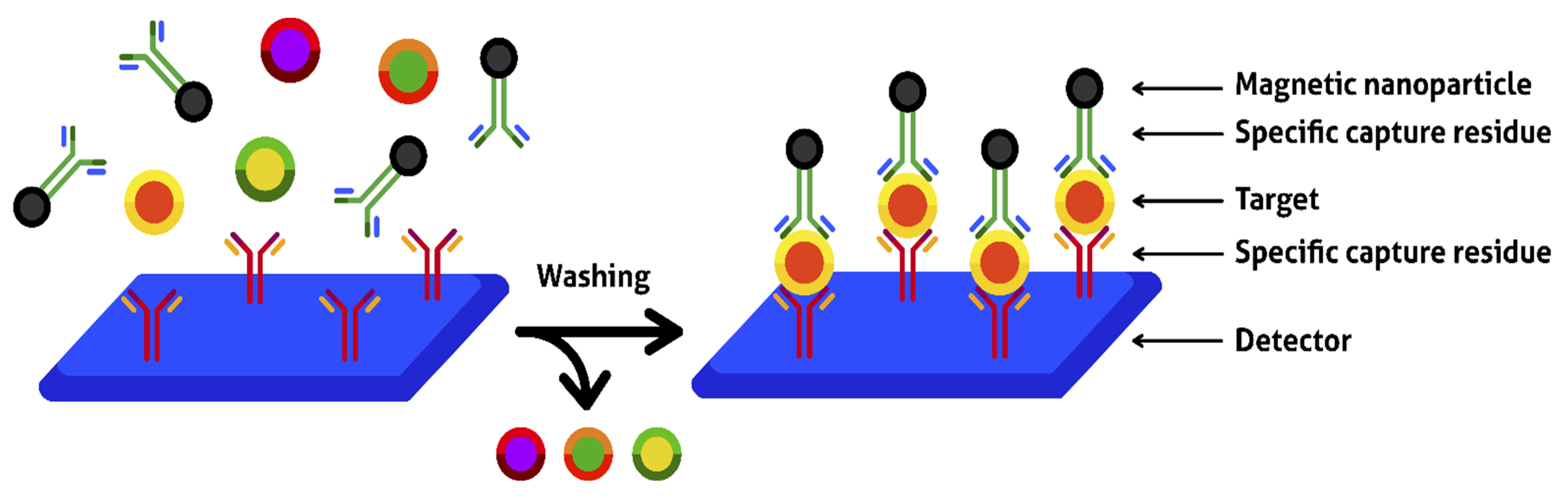 Encyclopedia 02 00125 g008 Encyclopedia 02 00125 g008