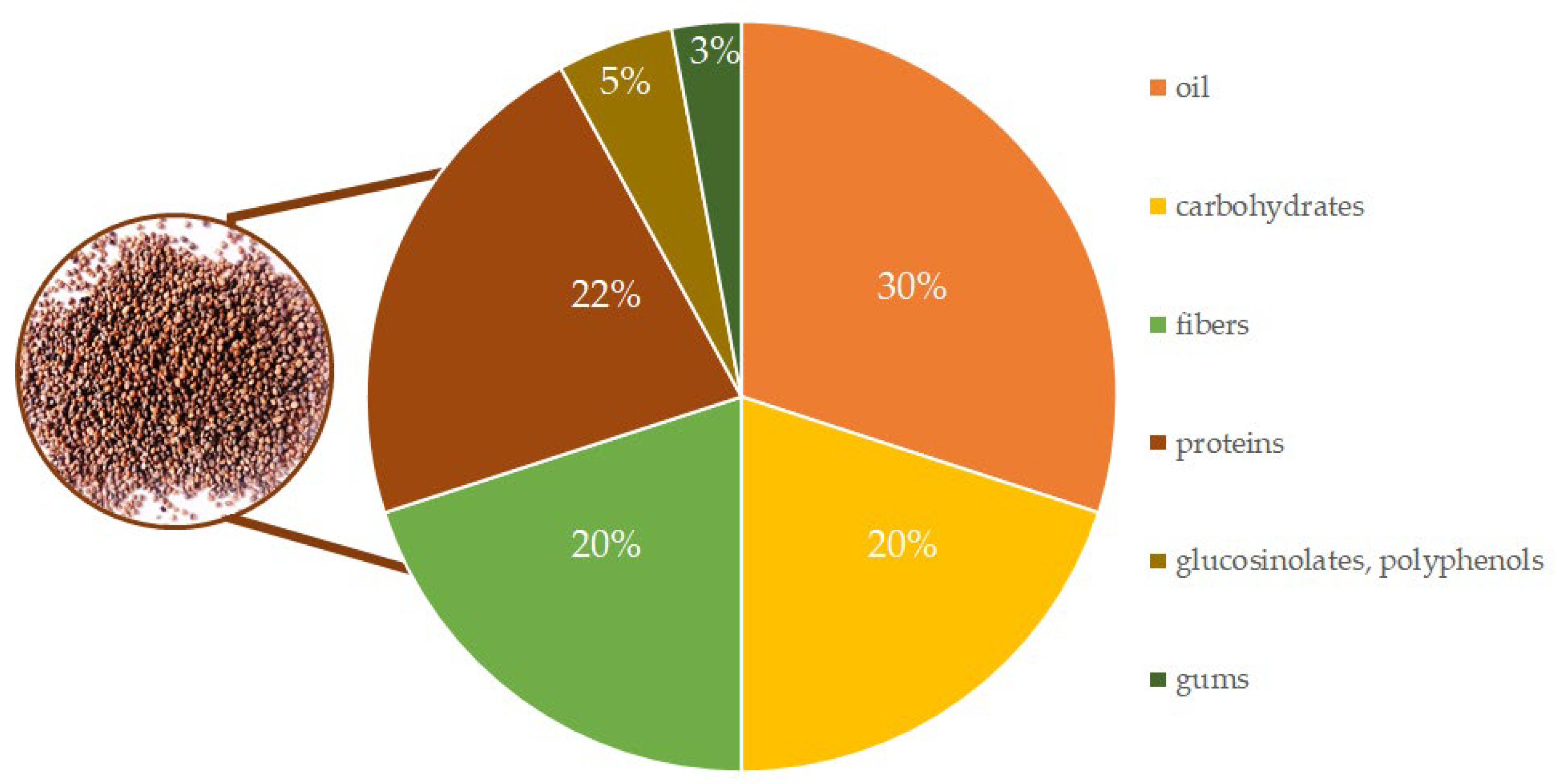 Encyclopedia 02 00129 g002 Encyclopedia 02 00129 g002