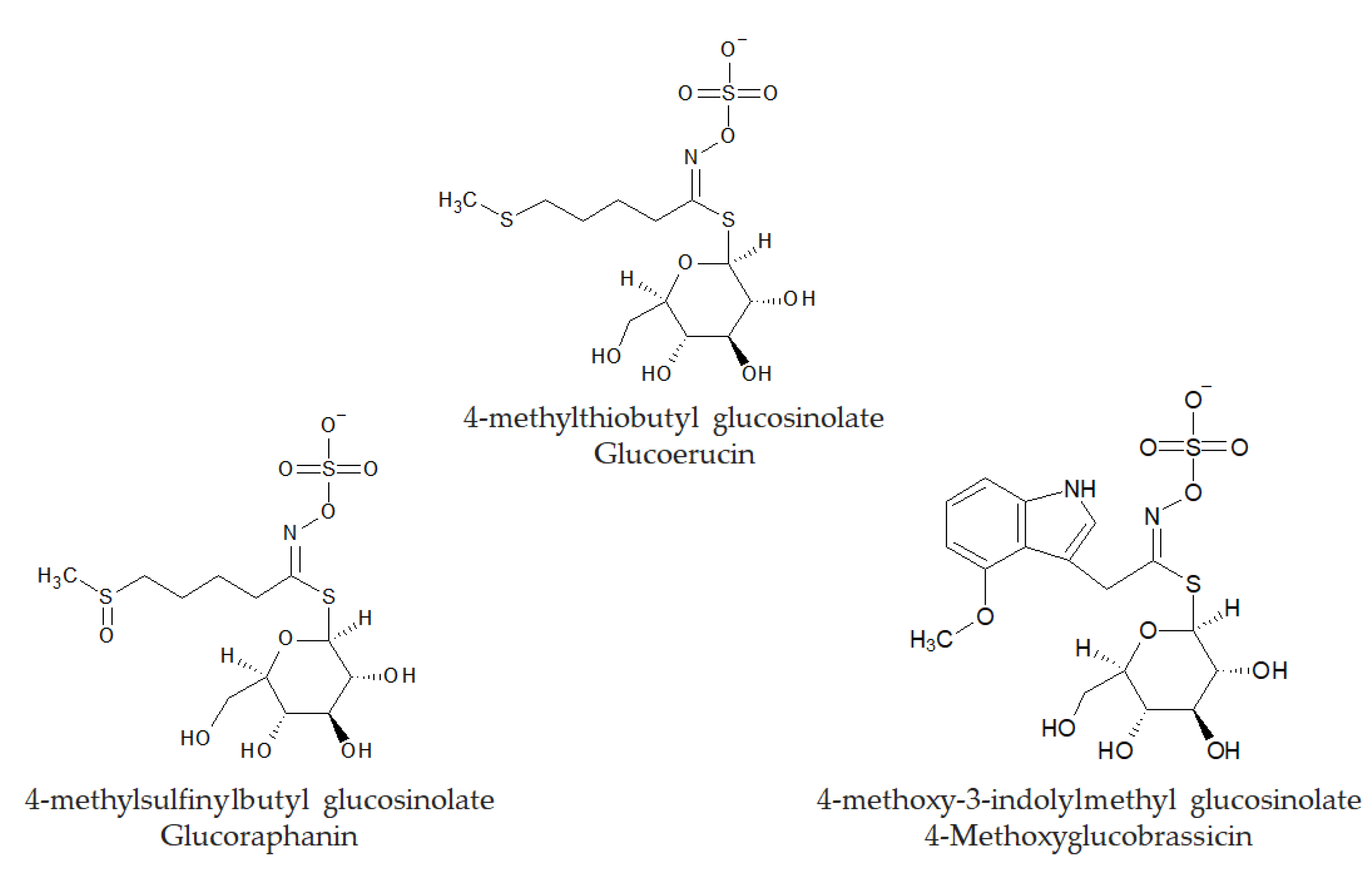 Encyclopedia 02 00129 g003 Encyclopedia 02 00129 g003