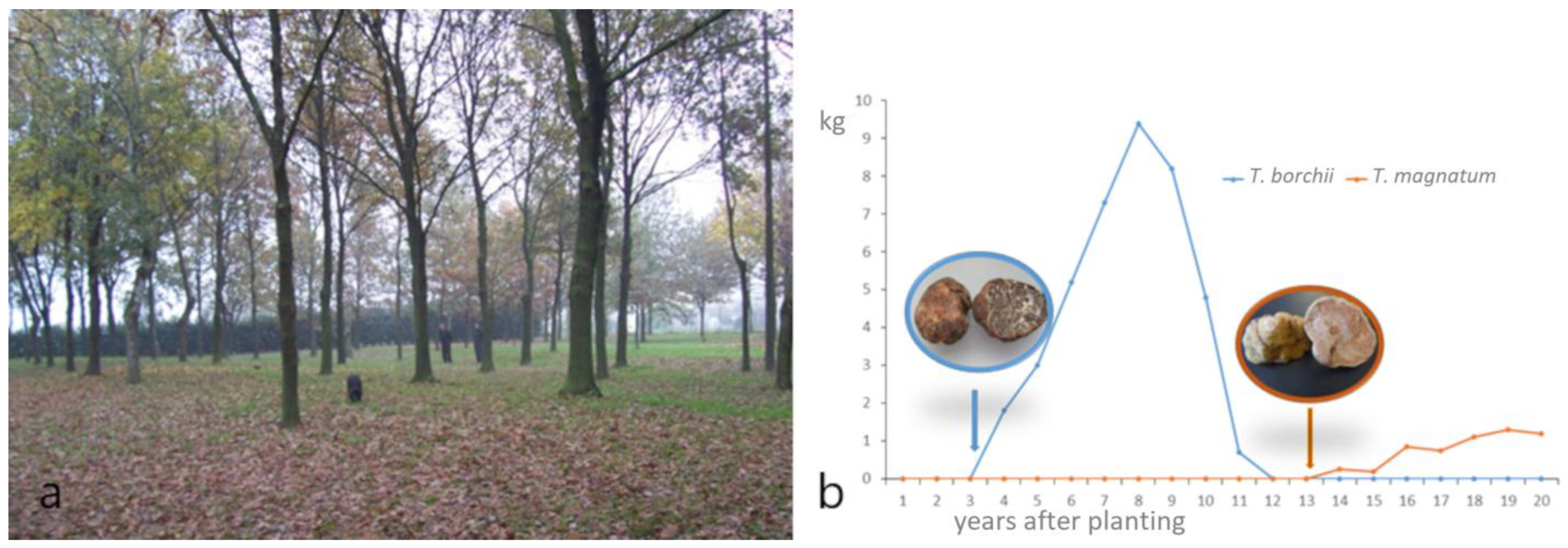 Encyclopedia 02 00135 g002 Encyclopedia 02 00135 g002
