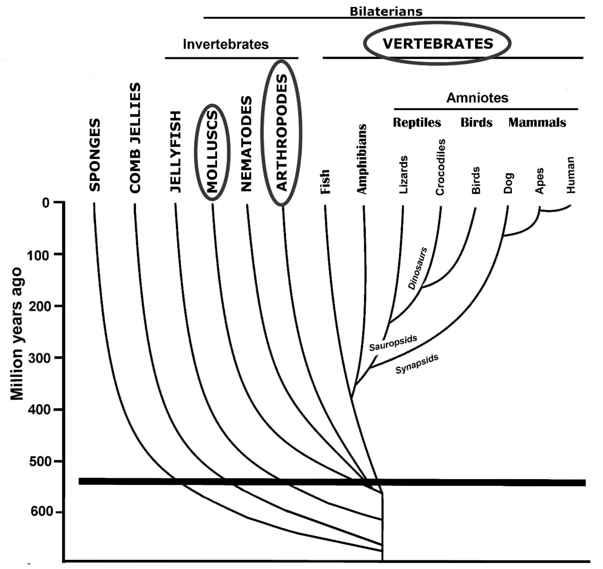 Encyclopedia 03 00005 g002