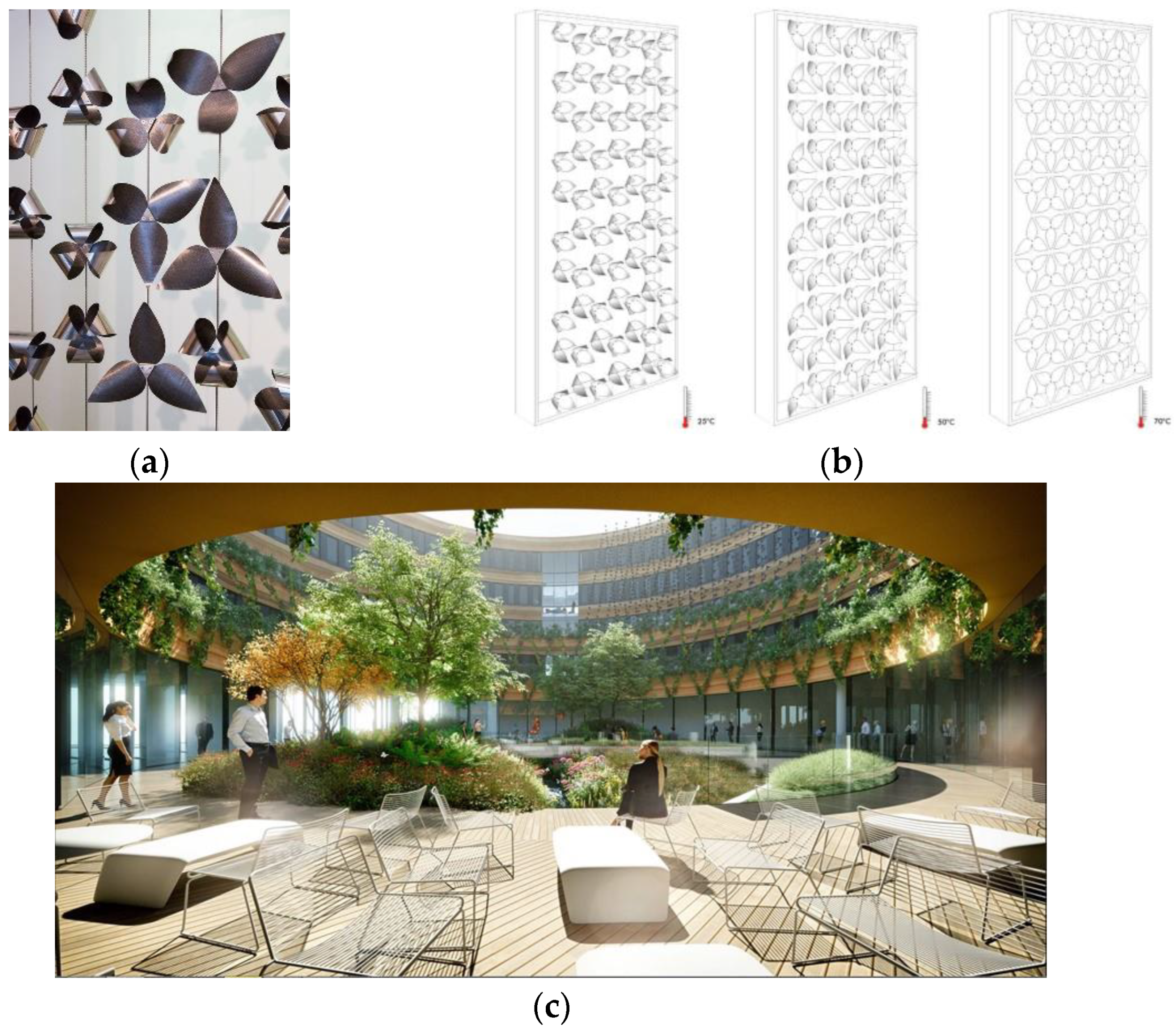 Encyclopedia 03 00014 g005 Encyclopedia 03 00014 g005