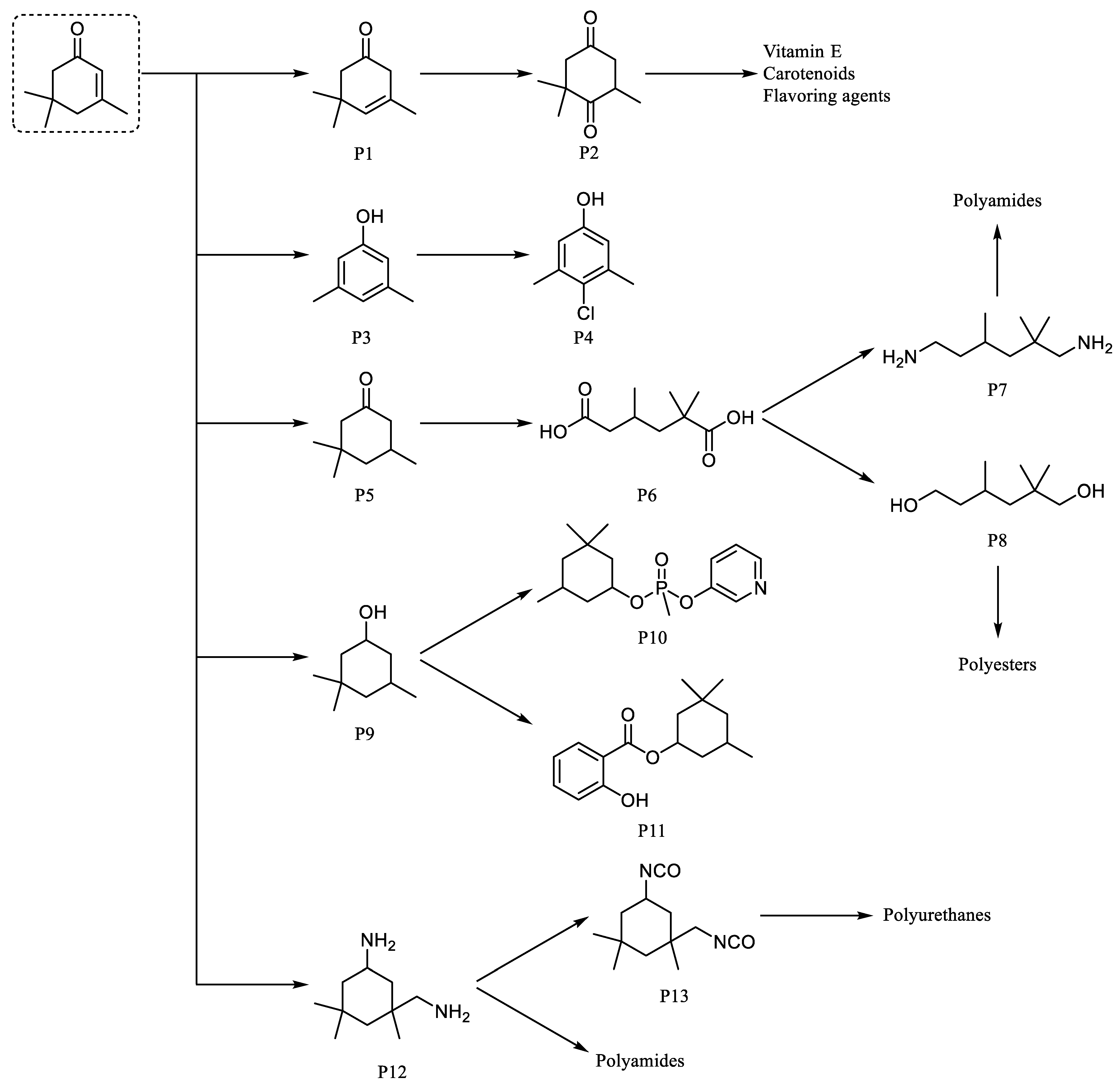 Encyclopedia 03 00015 g001