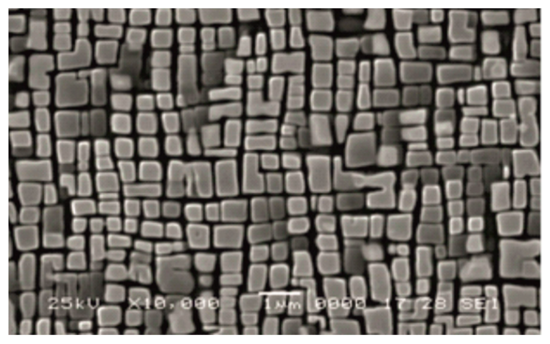 Encyclopedia 03 00019 g002 Encyclopedia 03 00019 g002