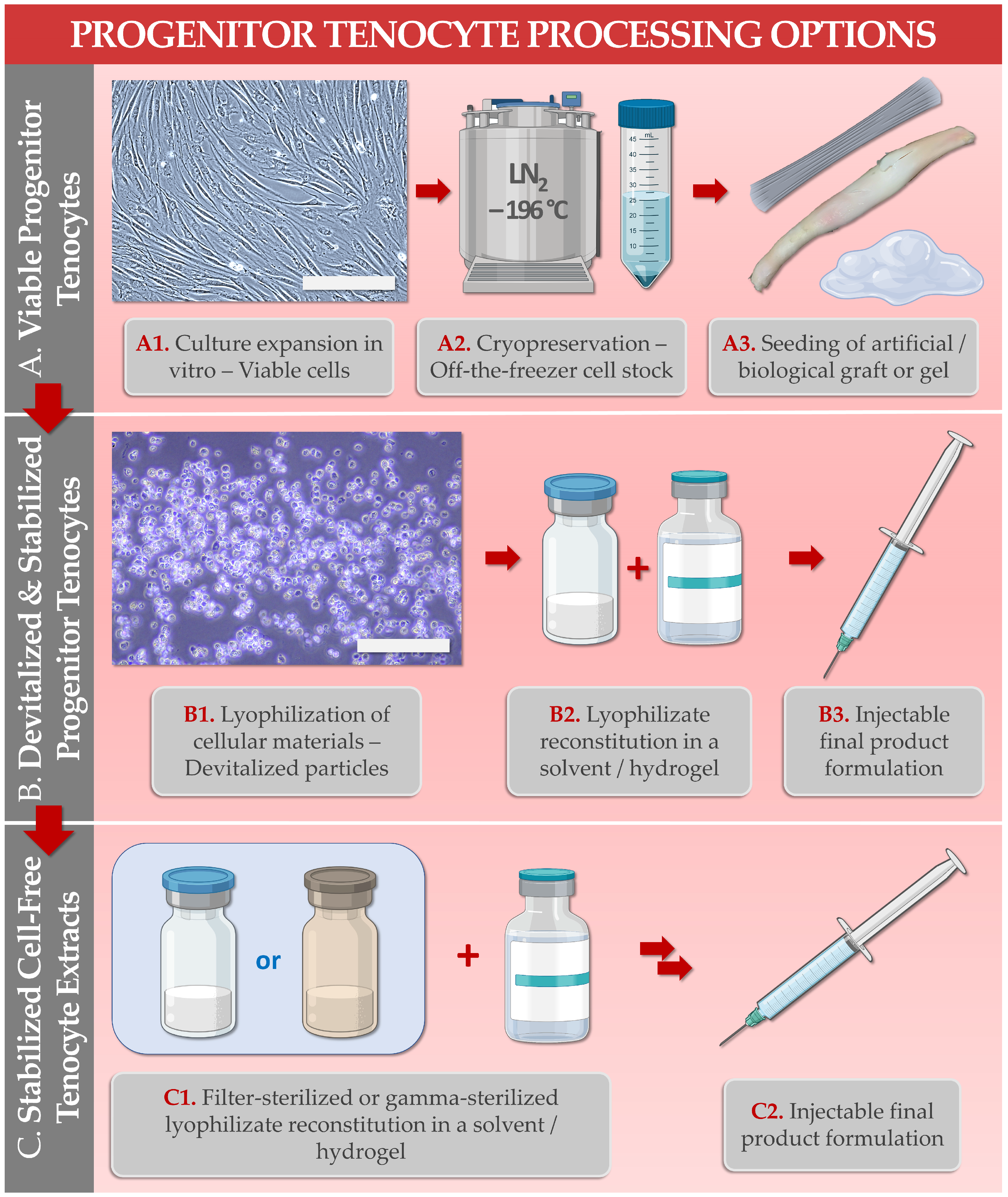 Encyclopedia 03 00021 g001 Encyclopedia 03 00021 g001