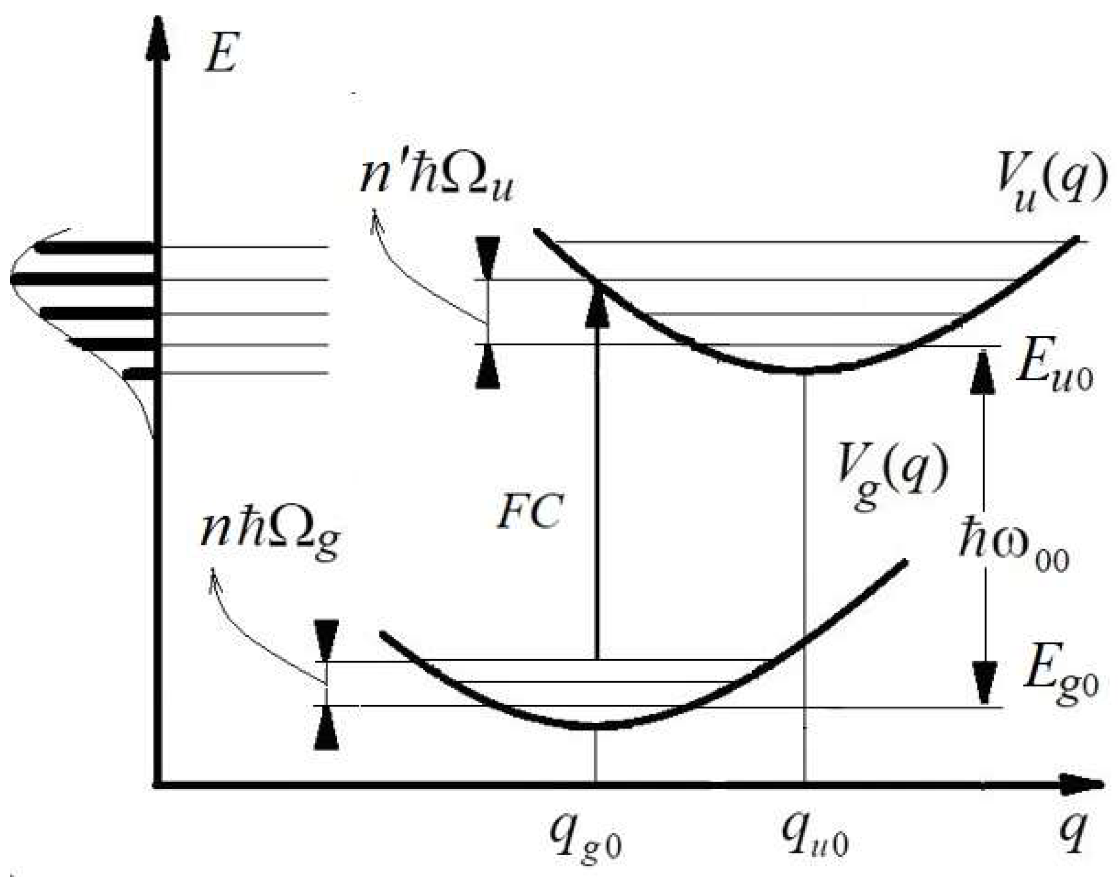 Encyclopedia 03 00029 g002