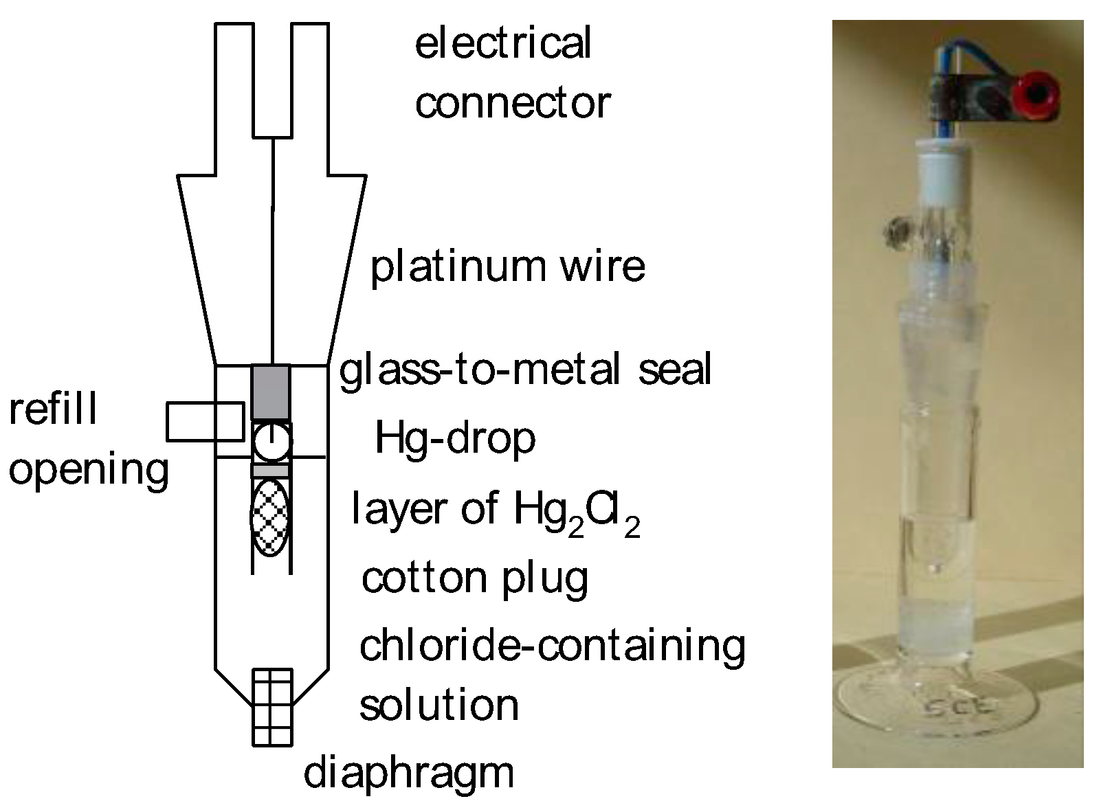 Encyclopedia Free FullText Reference Electrodes